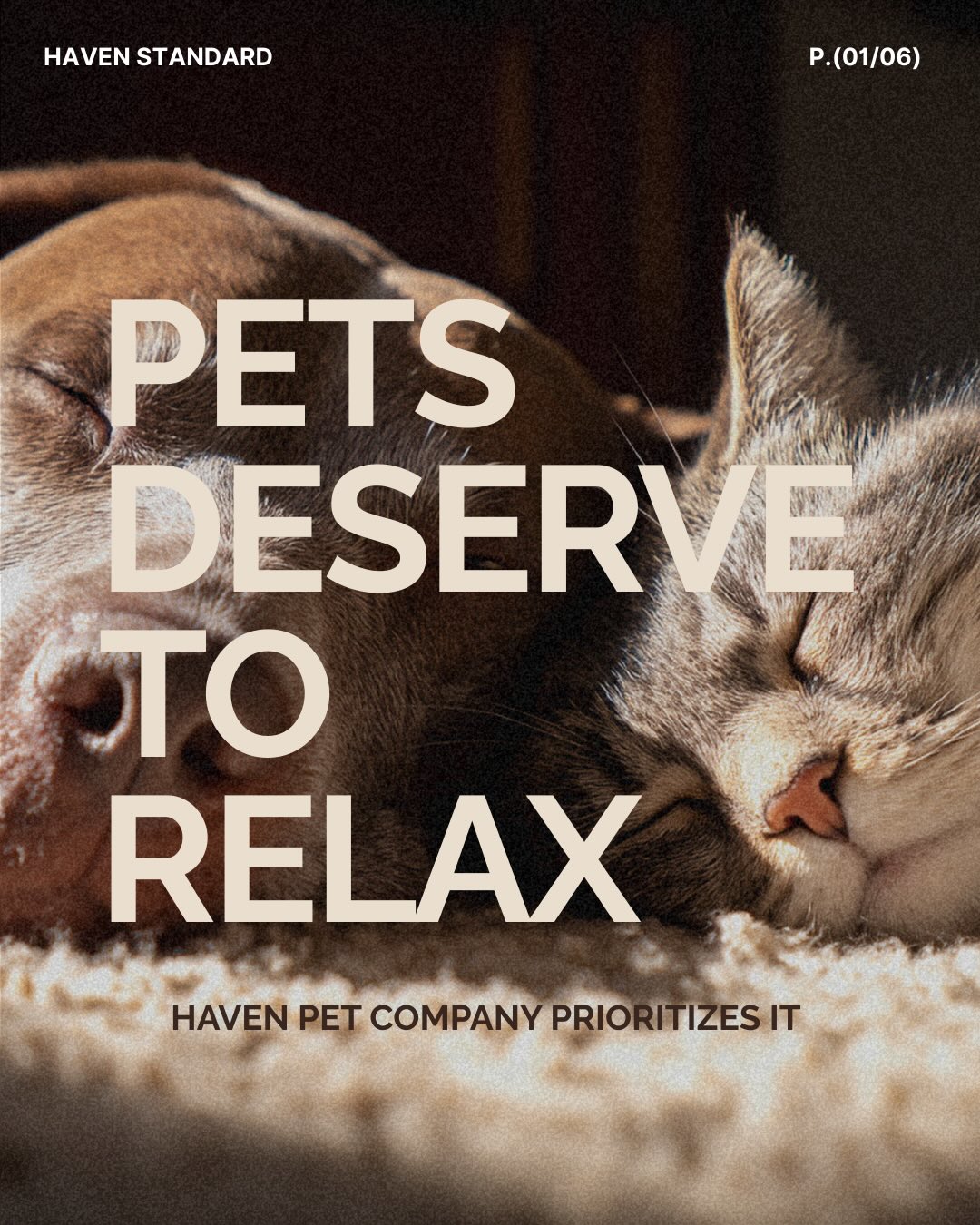 Pet care should feel calm.
It should feel thoughtful.
It should feel like someone truly knows your pet.
At Haven, we provide intentional care built on experience, consistency, and trust — so you can leave home with peace of mind.
Your pets deserve more than coverage.
They deserve care.
Join Haven✨
Link in the bio