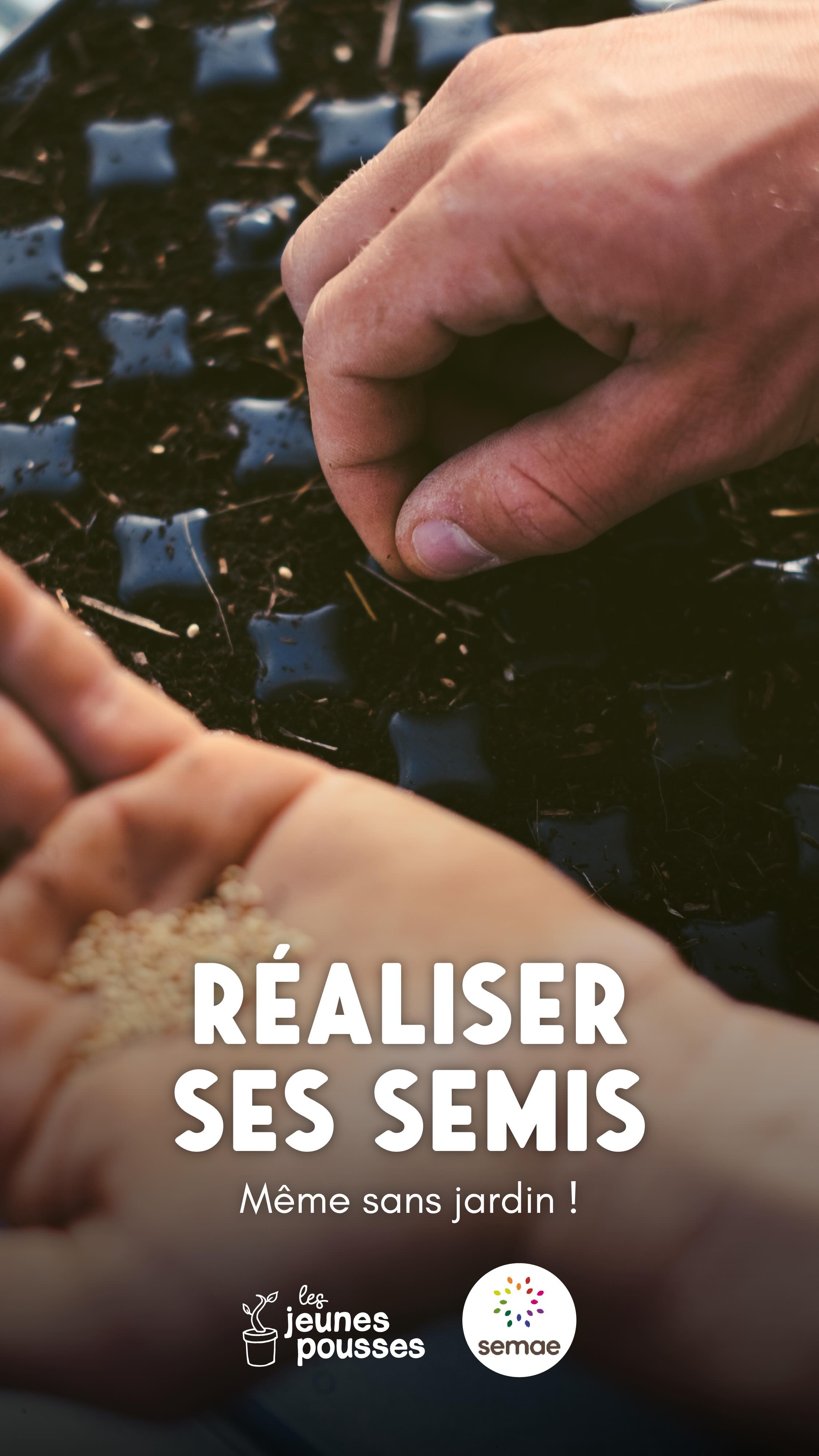 🌿 Pas besoin de jardin pour faire ses semis !
Un peu de lumière, des contenants simples, un bon substrat…
et surtout des graines adaptées à votre environnement.
Choisir des variétés locales ou récoltées l’année précédente augmente les chances de réussite, même en ville.
Balcon, rebord de fenêtre ou cour intérieure : chaque espace compte 🌼
👉 Maintenant que vous savez l’essentiel sur les semences, c’est à vous de jouer !
🎥 Vidéo réalisée avec @semae.semencesetplants