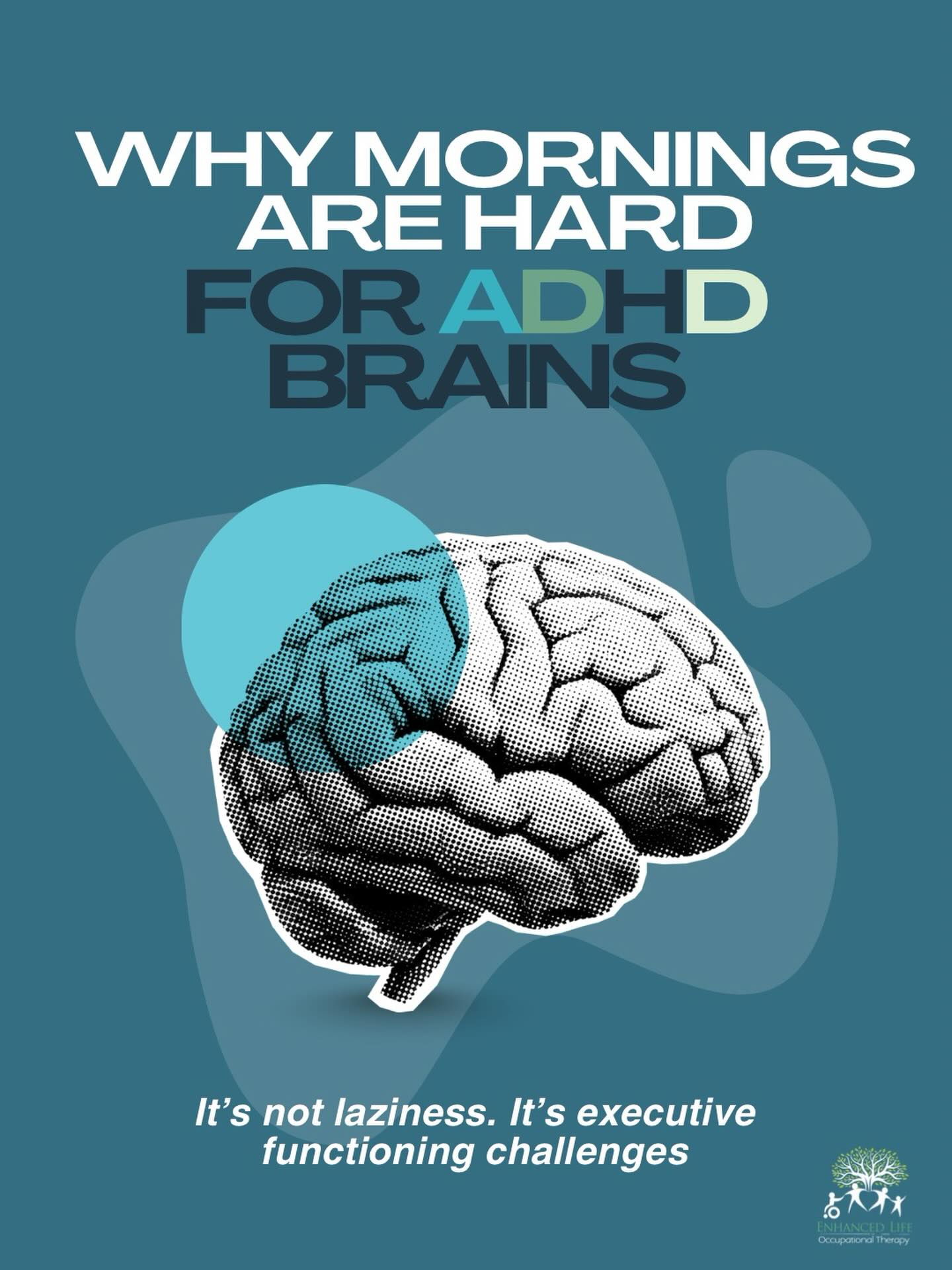 Mornings can feel especially challenging for children with ADHD - and it’s often misunderstood.
It’s not about laziness or a lack of effort. It’s about how the brain manages executive functioning skills.
Many children with ADHD find it hard to hold multiple steps in mind at once. So even if they understand what needs to be done, remembering the sequence - get dressed, brush teeth, pack bag - can feel overwhelming.
There’s also something often called “time blindness,” where it’s difficult to sense how much time has passed or how long a task will take. Five minutes can disappear quickly, and transitions can feel abrupt.
When planning, sequencing and time awareness are all under pressure, mornings can escalate quickly - for both children and parents.
This is where external supports make a meaningful difference. Making the steps visible through a simple routine chart reduces the mental load. Using a visual timer or countdown helps children see time instead of guess it. Keeping the order of tasks consistent each day removes unnecessary decision-making.
When the expectations and timeframes are visible, children don’t have to rely on internal organisation alone. That’s when mornings start to feel more manageable - and independence begins to grow.
Structure creates success. 💙