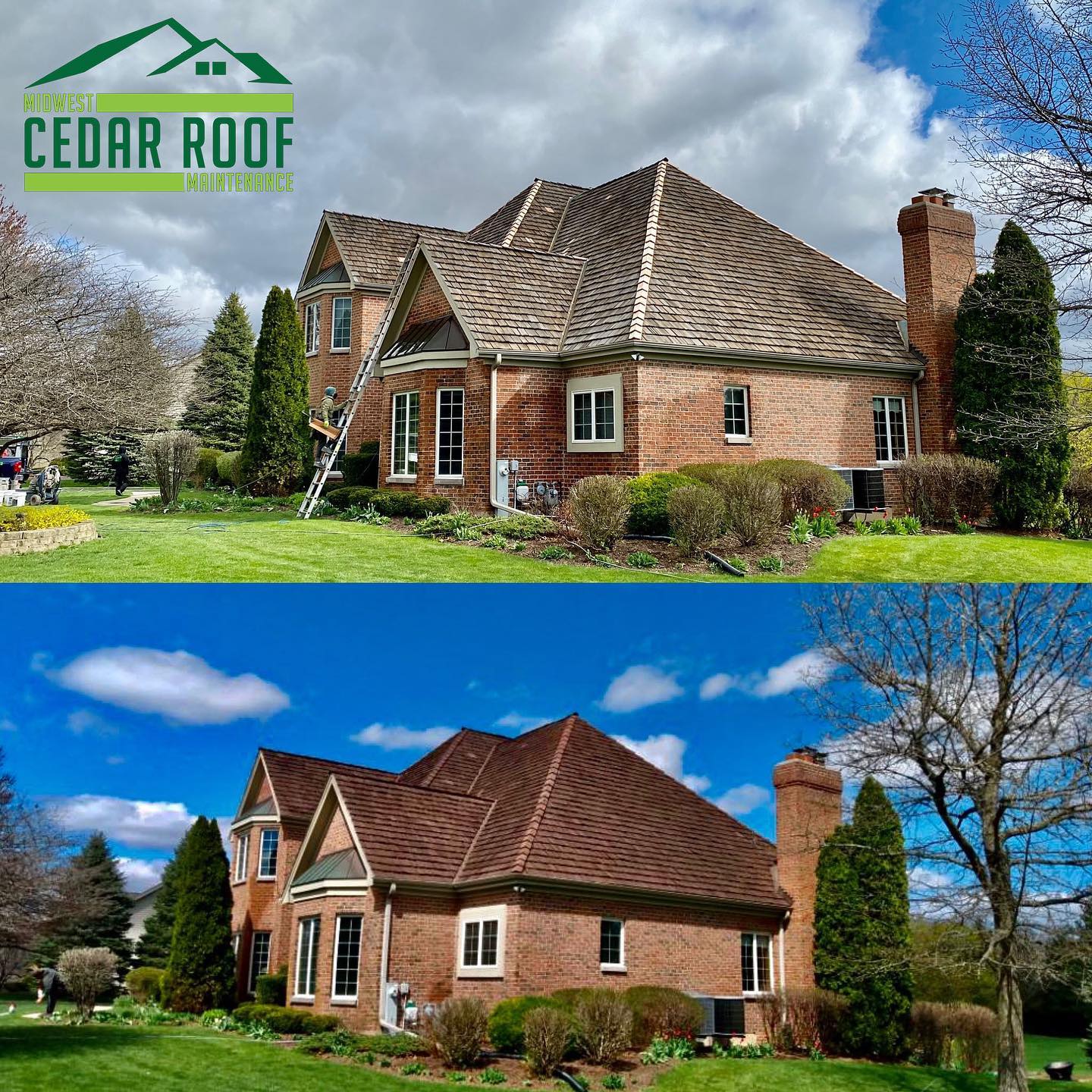 Before and after preservation “Brown color”