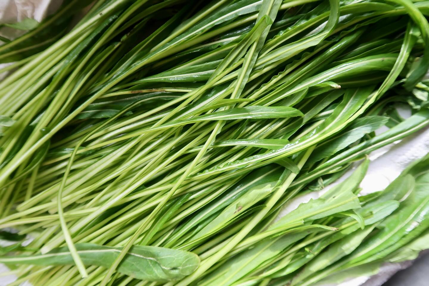 RECETTE mibuna et nouilles soba en deux façons
C’est le retour du mibuna sur les étalages du marché ! Profitez de le déguster dès maintenant, sa saison passe vite !
Retour sur notre recette parue dans magazine T l’année passée, lien en bio.
Vous pouvez retrouver le mibuna au marché Cuendet, au marché de Lausanne le mercredi et samedi.
Et n’hésitez pas à nous écrire si vous avez des questions sur la recette !
Bonnes préparations et dégustation ! 🍜