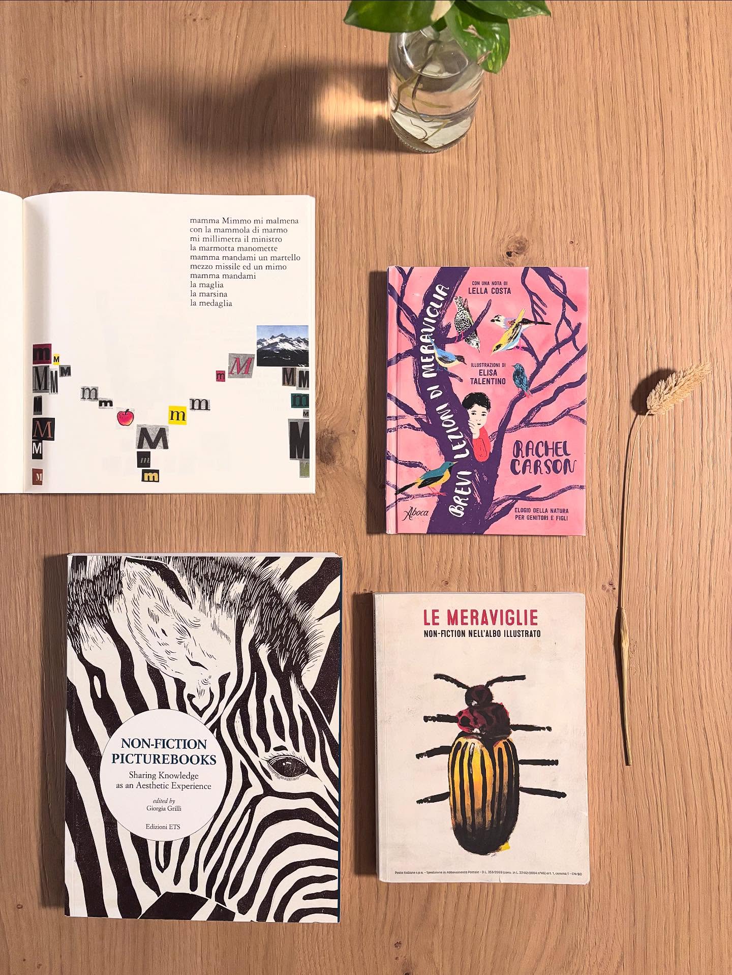 🫒 AsSaggi 🫒 Degustazioni per delle letture più consapevoli in classe
𝕄
M come meraviglia
✨ C’è un’idea diffusa che la non-fiction serva a “imparare delle cose”.
Ma la non-fiction, prima ancora di informare, accende meraviglia.
🔎 Meraviglia è fermarsi davanti a un dettaglio minuscolo, la trama di un’ala di farfalla, la forma invisibile del vento, il silenzio degli abissi, e scoprire che il mondo è più vasto di quanto pensassimo.
È stupore che diventa domanda.
È domanda che diventa conoscenza.
📖 Questi albi non elencano dati: raccontano il reale come un territorio da esplorare.
Le immagini aprono spazi, le parole suggeriscono connessioni, i numeri si trasformano in ritmo.
E ciò che è vero non perde poesia, la trova.
🌿 Come sceglierli? Come portarli in classe? A quali casa editrice affidarsi ? A tutte queste domande rispondono i saggi dedicati alla non-fiction. Un pic nic non esaustivo, ma da considerarsi un avvio all’esplorazione.
💫Non-fiction picturebooks. Sharing Knoledge ad an Aesthetic Experince, curata da Giorgia Grilli ed edito da @edizioni_ets
💫Le meraviglie. Non-fiction nell’albo illustrato di @hamelinassociazioneculturale
💫Brevi lezioni di meraviglia di Rachel Carson e illustrato da @elisatalentino per @abocaedizioni
💫Alfabetiere di Bruno Munari per @corrainiedizioni
#letteraturaperlinfanzia #nonfiction #meraviglia #educazioneallalettura