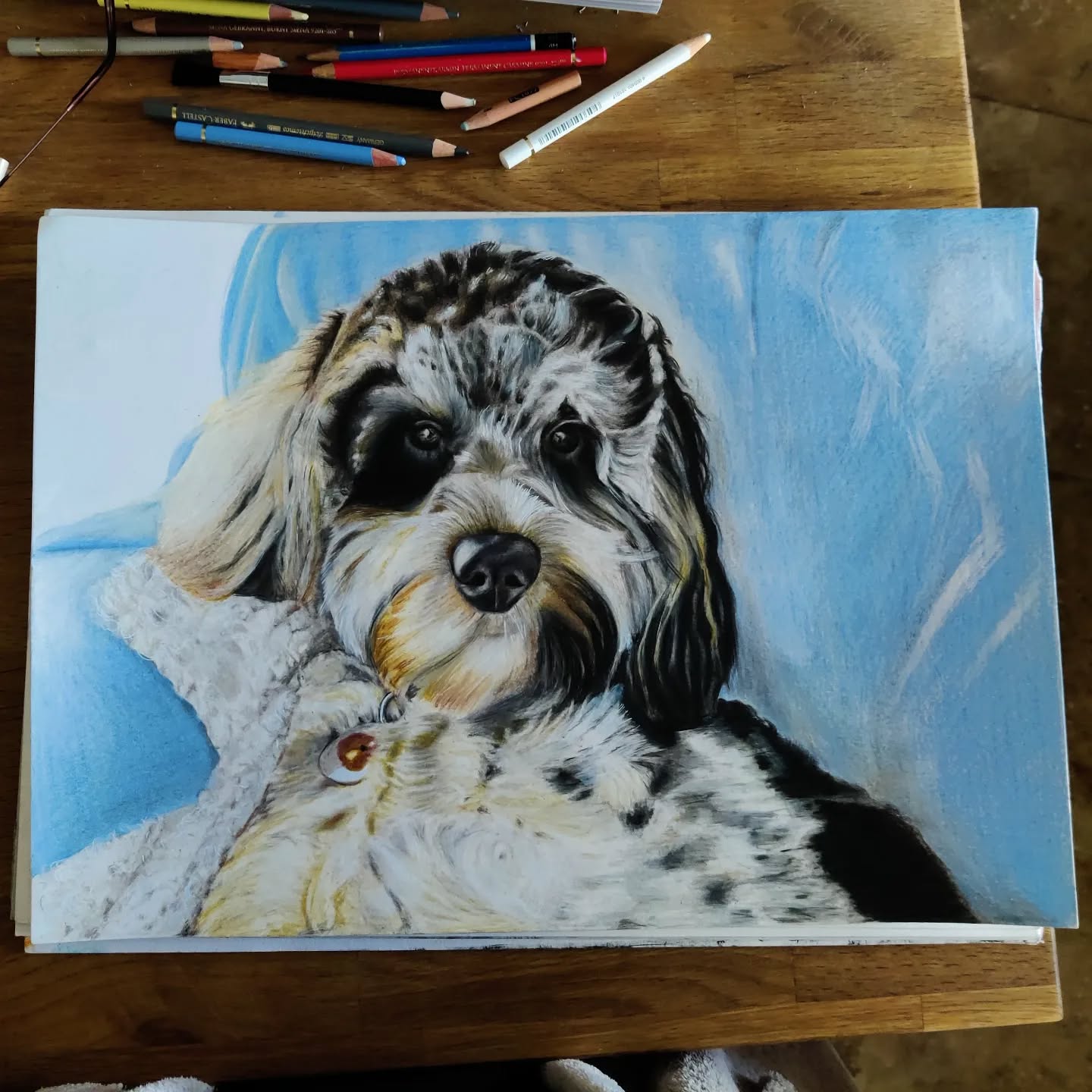 Haven't posted in a while....here's a commission I was lucky enough to undertake a couple of years ago.
Happy Friday everyone, wishing you all a wonderful weekend!
#arts #animalart #petsofinstagram #animal #mathias777dogs