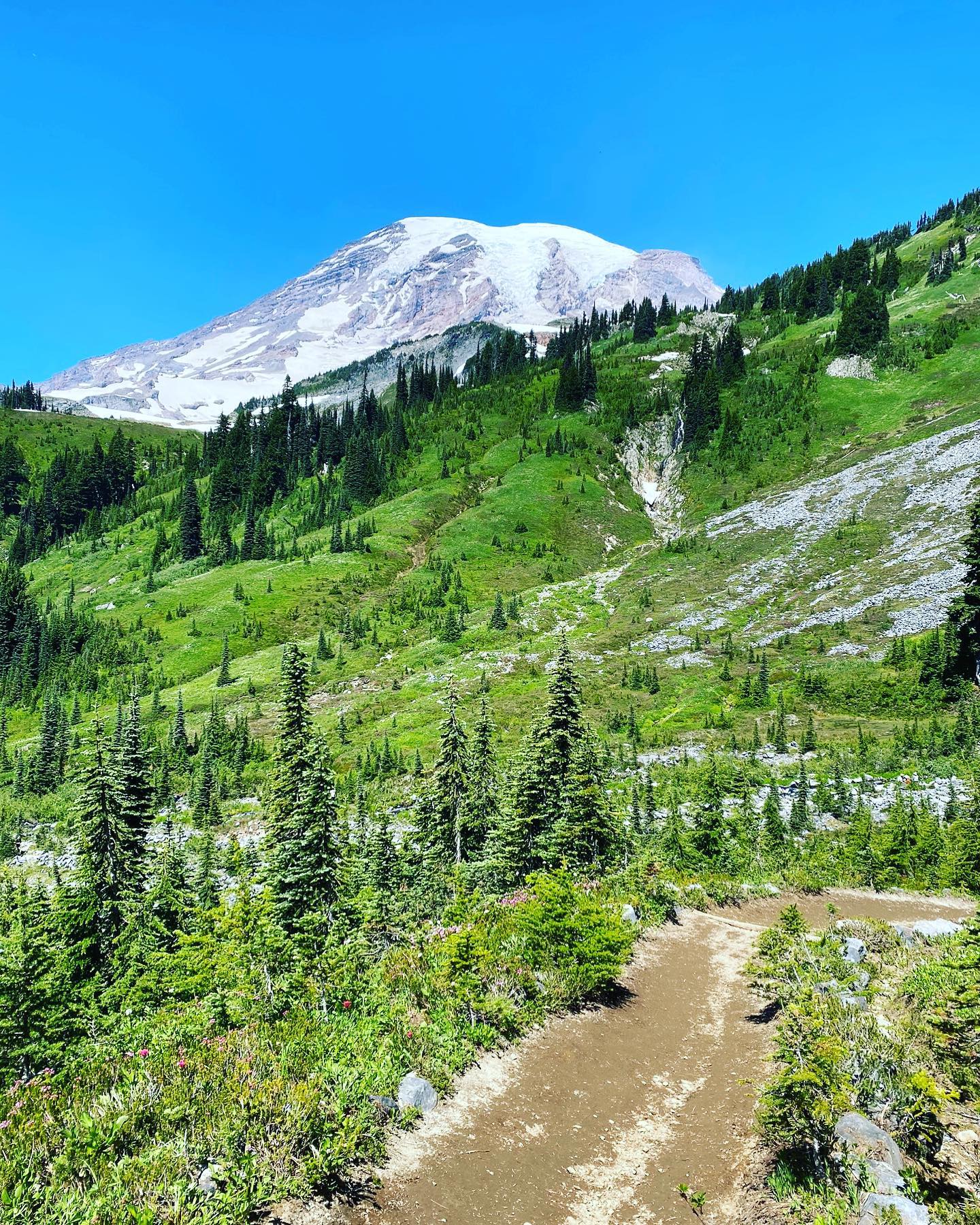 Check out the blog for our final guest post on the national parks in Washington - a highlight of Mount Rainier National Park.
This photo is from the Skyline Loop Trail in the Paradise area of the park. How many hikes let you see glaciers, waterfalls, snow, green meadows, and wildflowers all along one path?
📸 @pnw.hiking.trails
.
.
#explore #getoutside #wanderlust #neverstopexploring #shewanders #sheisnotlost #womentravelers #girlsthatwander #travelblog #travellingtheworld #mountrainiernationalpark #mountrainier #nationalparks #skylineloop #hiking