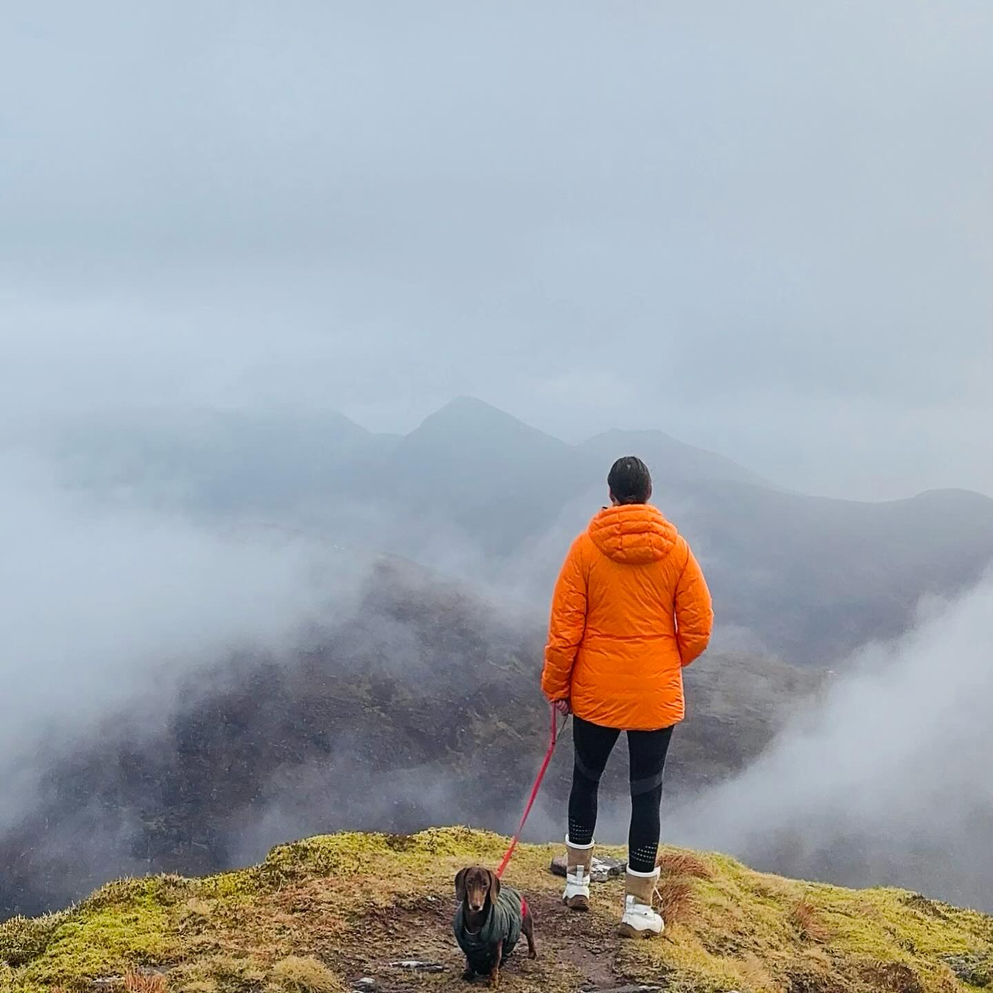 You don’t lack confidence because you experienced rejection.
Your sadness now isn’t simply because of what someone did, or what happened to you.
A loss.
A betrayal.
A breakup.
A diagnosis.
A devastating curveball you never saw coming.
Of course, these things are painful and hurt like nothing else. They shake us to our core and threaten the stability of our whole life. And the emotions you felt at the time were absolutely real and valid.
But the sadness, resentment or anger we hold onto become something else. They become the result of not knowing how to pick ourselves back up. The result of allowing ourselves to stay in such a negative, bitter, or depressed place.
Sometimes, without realising it, we allow the pain to become our identity.
“This is just who I am now.”
“I’m just broken.”
You’re not broken. You’re dysregulated, overwhelmed, carrying unprocessed emotion, and no one ever taught you how to pick yourself back up properly.
Life will throw curveballs. Some of them knock us so flat, we may think it impossible to come back from. But it is our responsibility to help ourselves.
I’m currently navigating my own - early menopause and the hormonal depression that can floor me on certain days. And it would be easy to let that become my whole story.
But here’s something I learned…
While we can (and should) lean on loved ones for support, the real strength has to be developed from within. And everything that can be developed must first be learned. This is the root cause of the pain you’re feeling now.
You don’t feel low because you’re weak. You feel low because you don’t yet have the knowledge or the tools to get back up.
That’s where I can help you. My online free workshop Reconnect With Yourself is happening again next week Wednesday 25th at 7pm (UK).
Inside, I’ll guide you through my 3-step framework to rebuild clarity, confidence and emotional resilience. This isn’t toxic positivity. It’s structured emotional rebuilding.
If you’ve been feeling low, disconnected, resentful, lost, or like you don’t recognise yourself anymore, I’d love to invite you to join me (link in bio).
Let’s feel stronger together.
Lots of love,
Jo xx