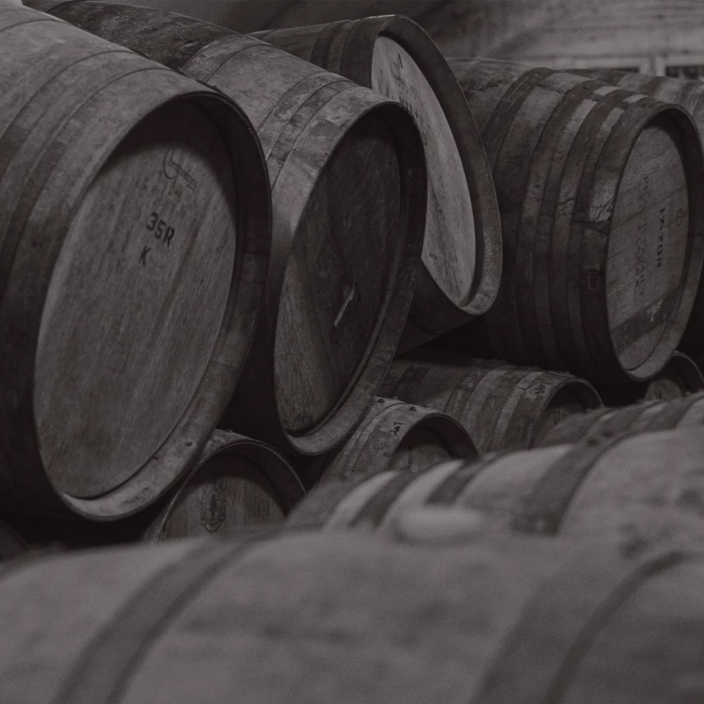 Élevage Winter Wine Festival is almost here!
Join us Saturday, March 14 & Sunday, March 15 as we celebrate winter in wine country.
We’ll be pouring an exclusive pre-release of our Fruit Wines, and trust us, you’ll want first sip.
Strawberry Vidal
Baco Raspberry
Peach Muscat
Each beautifully paired with sweet & salty maple popcorn for the ultimate cozy winter tasting experience.
Come warm up with us, discover something new, and toast to the season.
@pecwine