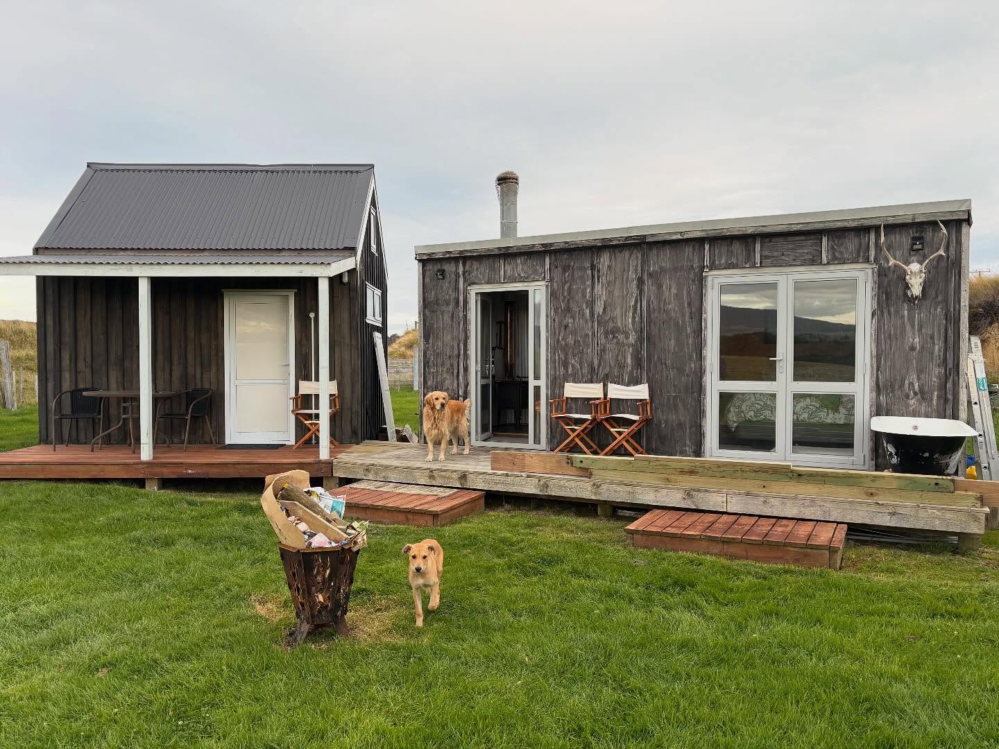 Artist retreat. Zinger and slider always happy for a new adventure.