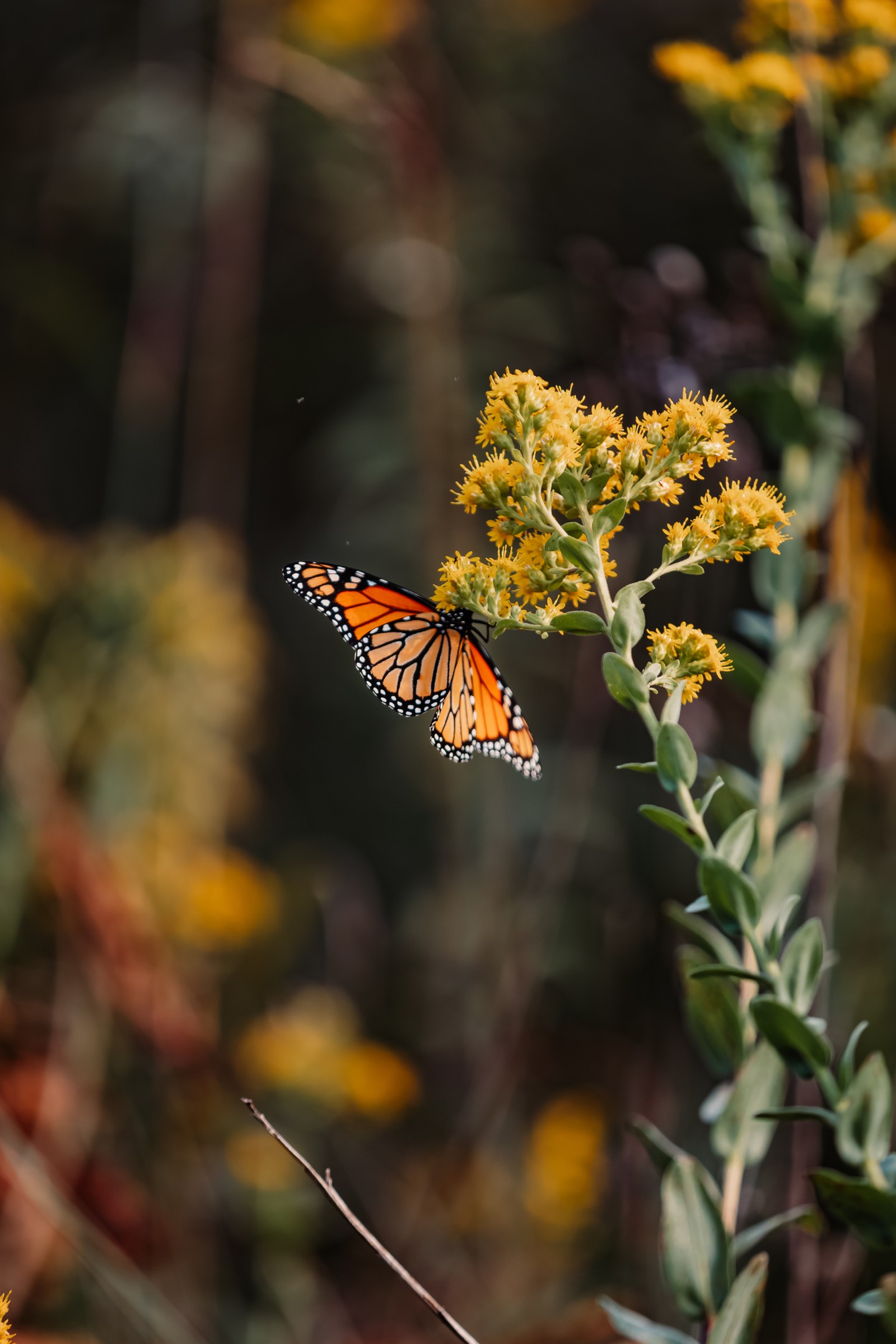 My style is colorful, warm, and true to life — because I want your photos to still feel beautiful 20 years from now.
Trends fade. Connection doesn’t.