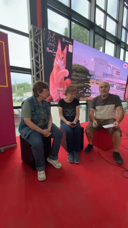 🔴📹 Como eram as antigas exposições felinas? Marta Martinez Teixeira e Irma Clara Gimenez contam para Helton as curiosidades e o que mudou ao longos dos anos.