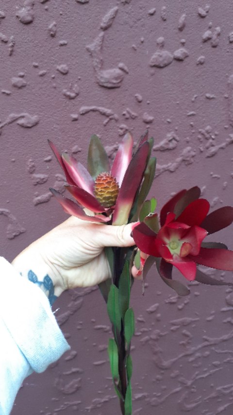 Another example of a very impressive artificial flower; Leucadendrons. I love the burgundy tones of these and every leaf and petal is wired so you can open them or close them to how you want them.
#meadowandtea #burgundy #fauxflowersofinstagram #artificialflowersnz #fauxflowersnz
