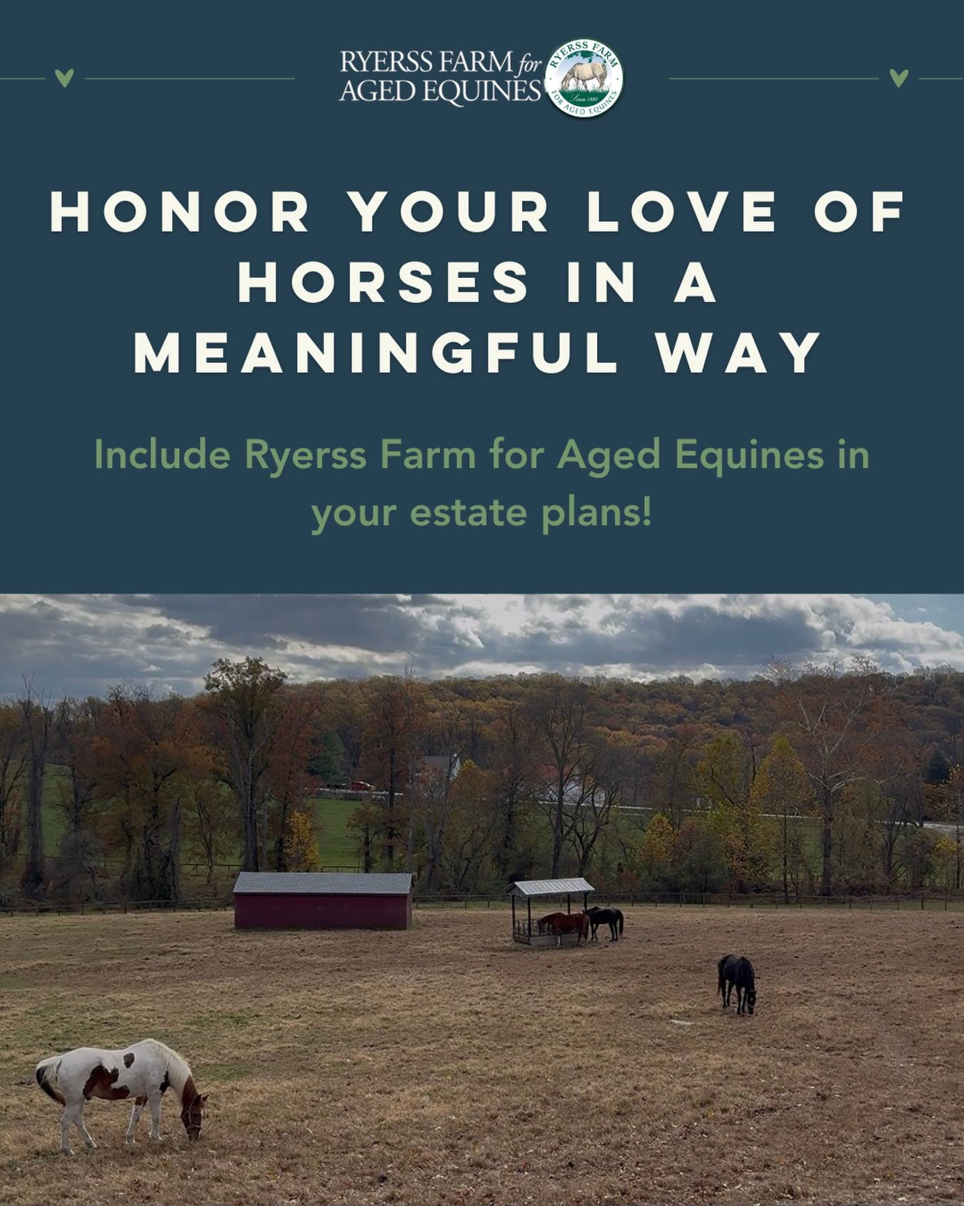Honor your love of horses in a meaningful way! 🐴💚 Include Ryerss Farm for Aged Equines in your estate plans to provide lifelong care for our retired and rescued horses. A planned gift, such as a bequest or beneficiary designation, helps ensure our residents remain safe, cared for, and protected for years to come.
If you’ve already included us in your plans, we are truly grateful and would be honored to recognize you as a member of our Legacy Society. Anonymous recognition is always welcome.
Click the link in our bio to learn more!