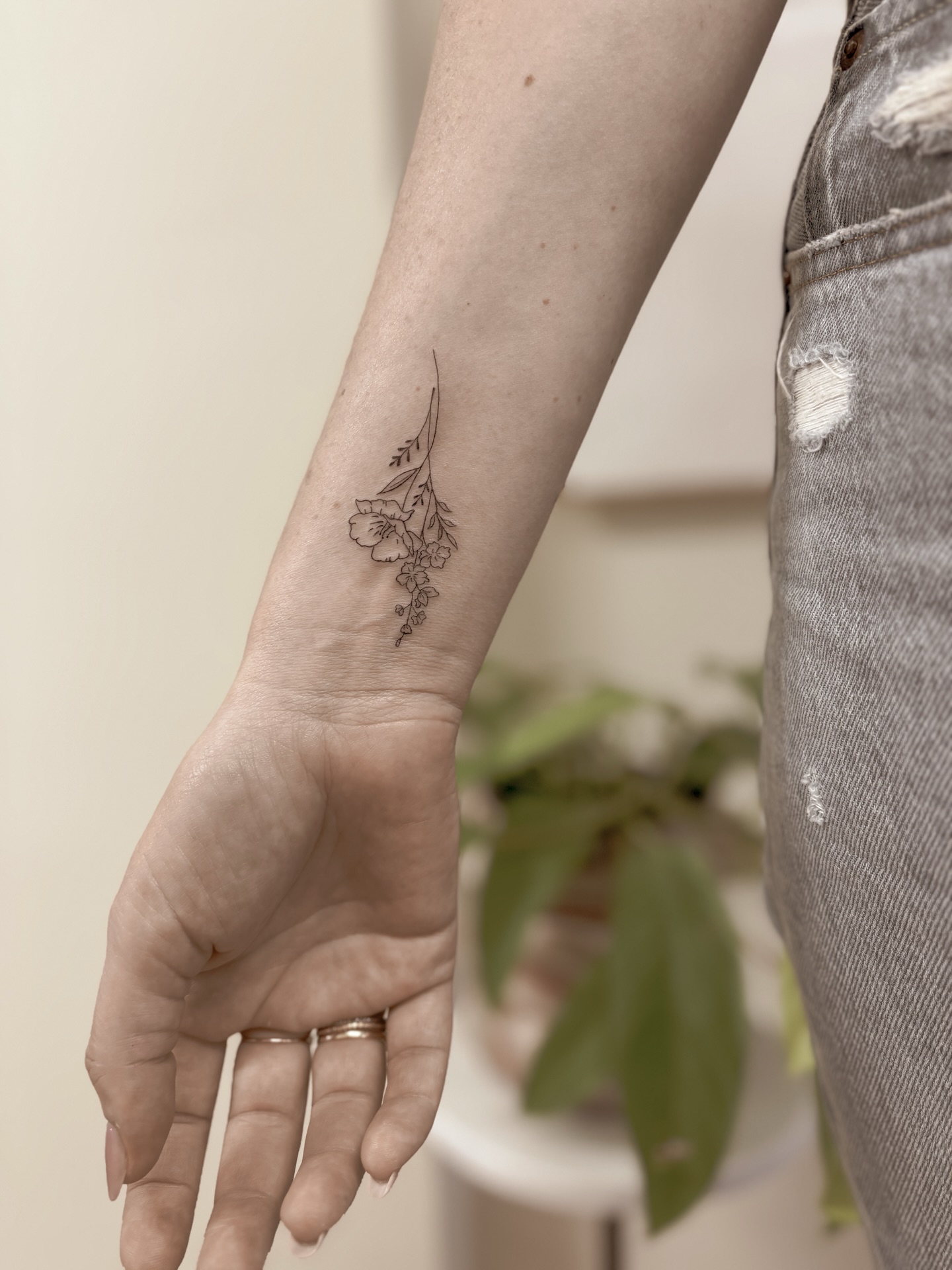 del·i·cate // very fine in texture or structure; of intricate workmanship or quality.