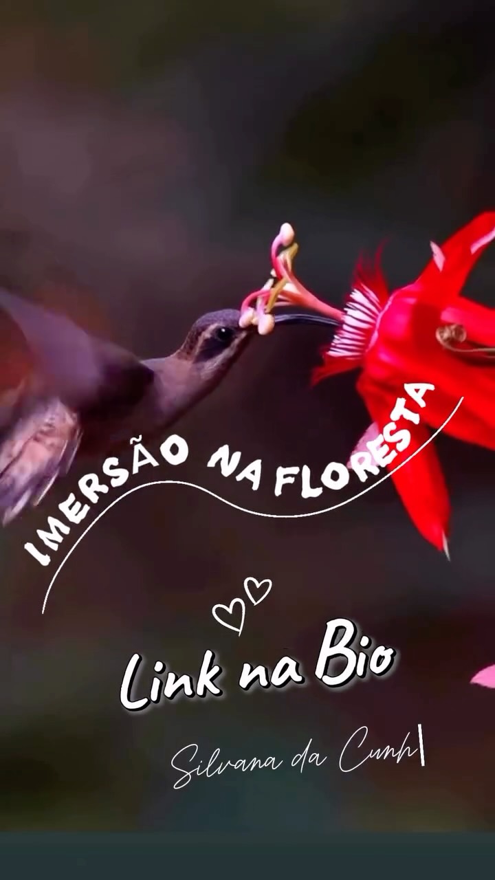 Hoje foi dia de cuidar do jardim, tirar as ervas daninhas, podar o excesso, escolher quais as flores que ficam e abrindo espaço para que elas tenham luz, ar e força para florescer.
Vivendo aqui na Serra do Espinhaço, lidando com agrofloresta e jardim, a natureza me ensina todos os dias sobre a vida.
Se eu não tiro o mato que cresce ao redor, ele sufoca a flor. Se eu não escolho o que quero cultivar, qualquer coisa cresce. Se eu não coloco atenção, presença e cuidado, o jardim perde a forma, perde a beleza, perde a vitalidade. E o meu jardim interno não é diferente.
Quantas ervas daninhas emocionais nós deixamos crescer? Quantos excessos ocupam espaço dentro de nós? Quantos pensamentos, padrões e distrações sufocam aquilo que realmente queremos ver florescer? Cuidar do jardim é um ato de consciência. É escolher. É limpar. É direcionar energia. É decidir o que fica e o que sai.
Mexer na terra tem me feito um bem profundo. Colocar a mão no solo, sentir o cheiro da natureza, observar o ciclo da vida acontecendo diante dos meus olhos me ensina sobre paciência, presença e responsabilidade pelo que eu cultivo dentro e fora de mim.
Na IMERSÃO NA FLORESTA que acontecerá em setembro, esta experiência com a terra será parte do que nós vamos viver juntos. Um mergulho na natureza, com agrofloresta, mão na terra, pé no chão, música, dança, cerimônia com o cacau, silêncio, prática e consciência.
Um tempo para limpar o que precisa ser limpo, escolher o que queremos que cresça. Sermos em ciranda e alinharmos a Vida com aquilo que realmente importa. A própria Vida!
Se você sente esse chamado, vai na BIO do Instagram (fazendo sua pré inscrição para a IMERSÃO NA FLORESTA você garante ser um dos primeiros a receber as informações e poder fazer sua inscrição, pois as vagas sao limitadas!)
Humana aprendendo a Ser
Eu Sou aqui
Eu Sou aí
Silvana da Cunha
Cientista Intuitiva • Alquimista • Mentora Palestrante • Consteladora Sistêmica Familiar
• Terapeuta Holística
Fundadora da TQC Cura Quântica®️
e do Despertar Quântico da Consciência
www.florescimentocriativo.com