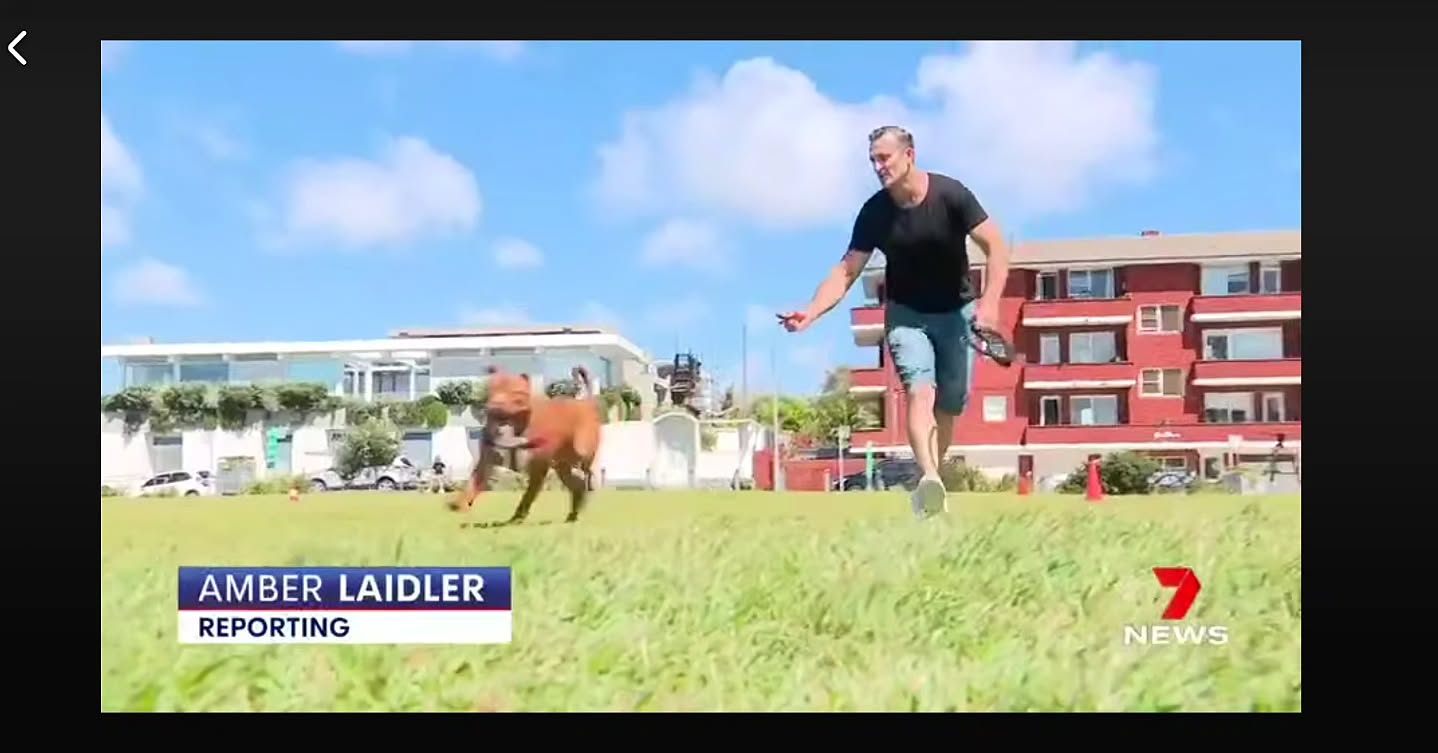 On this rainy weekend we’re seeing plenty of puddles… and unfortunately, that means a higher risk of leptospirosis.
Leptospirosis is a potentially life-threatening bacterial infection spread through the urine of infected rats and other wildlife. Dogs can pick it up from contaminated water, soil or puddles. Unfortunately Sydney has seen a number of confirmed cases in recent years, particularly after heavy rainfall.
Thankfully we now have a vaccination available to protect dogs against this serious disease. If you’re unsure whether your dog has received it, please get in touch and we can check for you. It is commonly included in the 'C7' or 'C2i' vaccine.
We’ve included a short news video below that highlights why vets are urging dog owners to be aware of leptospirosis. It was released a few years ago, but the message is still very relevant.
https://www.facebook.com/share/v/1CRBdVLuJs/