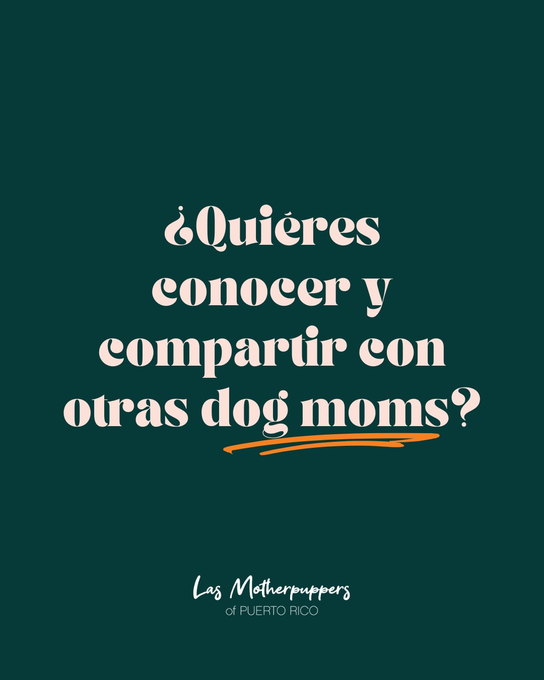Si quieres conocer y compartir con otras dog moms.... ¡Llegaste a la página indicada! 🧡🐾
Este domingo 1 de marzo a las 8:30am tenemos nuestro próximo Dog Mom Walk y queremos verte allí. (con o sin perro) ✨
Un espacio seguro, relajado y sin juicios para conectar con otras dog moms, caminar juntas y empezar el mes haciendo algo lindo por nosotras… y por ellos. 🐶
Comenta con un 🧡 para enviarte más detalles.
💌Recuerda subscribirte a nuestros emails y unirte a nuestro grupo de WhatsApp para no perderte nada.
🌐 www.dogmomsofpr.com
#dogmomsofpr #puertorico #dogsofpuertorico #dogmomclub #dogmomwalk