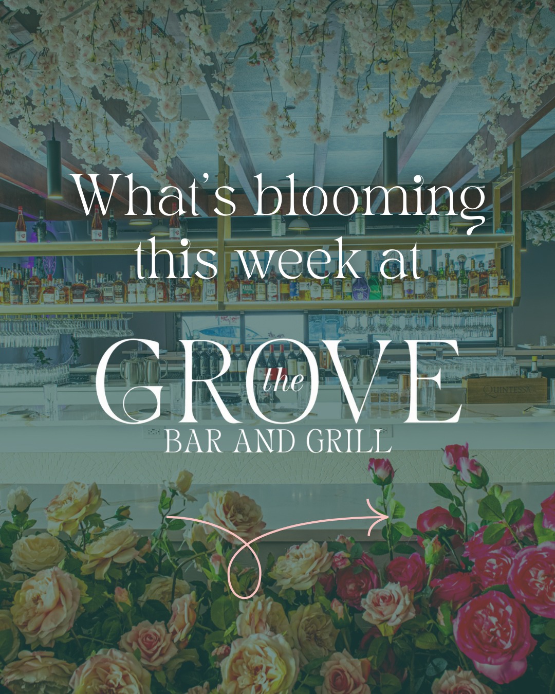 With our weekly lineup of specials and spring weather in a couple of days, it's looking fabulous at The Grove 🌺
See you Thursday @calvinthomasmusic 🎸
See you Sunday @chrisstopherblackstar 🎧🎶