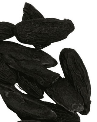 𝐓𝐨𝐧𝐤𝐚 𝐁𝐞𝐚𝐧 - A rare South American spice with a warm, vanilla-like aroma. Perfect for desserts; especially homemade Tonka Bean ice cream🍨. Sweet, fragrant, and unforgettable. Ready to experiment?