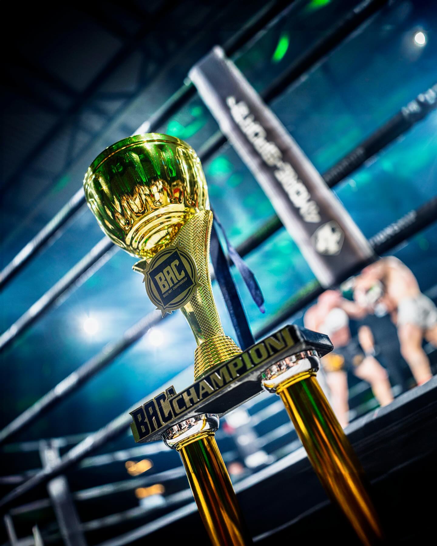 It’s Fight Week! 🔥🔥🔥
BAC 13 | Sa 28.Februar 2026 🏆🥊
FREE Livestream & Fightcard ➡️ bossart.events