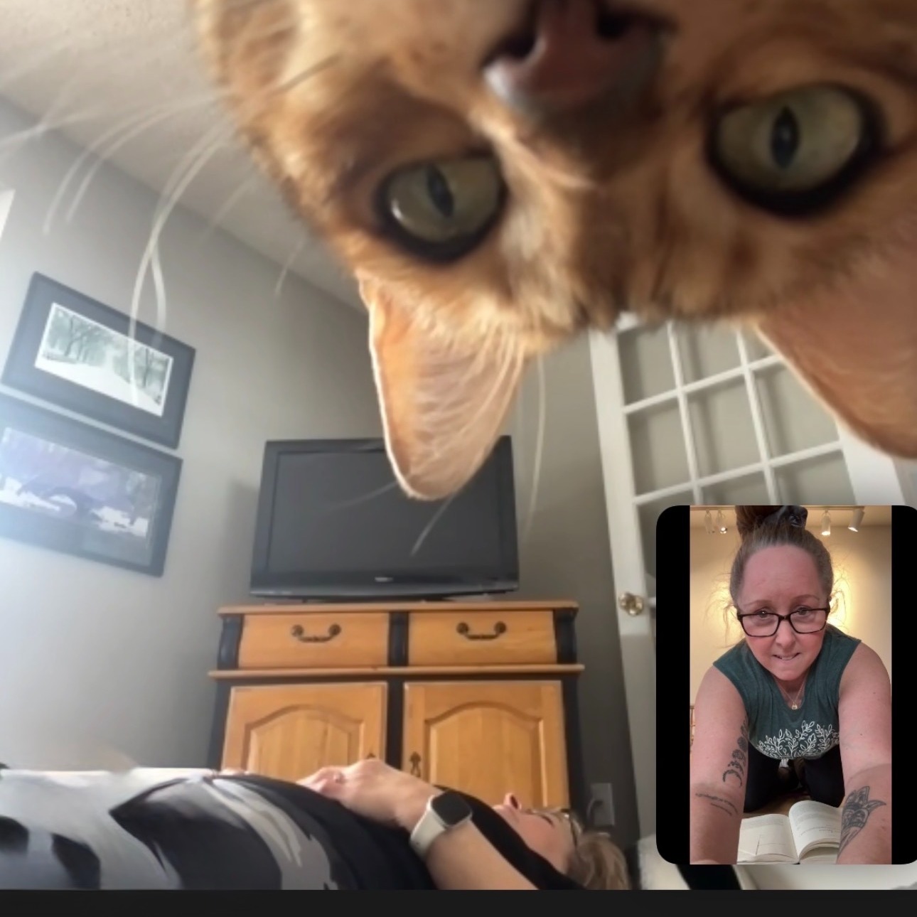 There is something incredibly special about welcoming our community into practice, wherever they are.
One of the beautiful benefits of practicing from home is the comfort of your own space. Your mat is exactly where you like it. The lighting feels right. The temperature suits you. There is no commute, no rush, no parking. You simply arrive.
And sometimes, you are joined by your most devoted companion.
Mia has become a quiet little presence in our Zoom practices, often perched just high enough to observe everything with gentle curiosity. There is something grounding about that. Home practice allows real life to be part of the experience. Pets wander in. The kettle hums. The house breathes around you. Instead of distraction, it becomes integration.
Yoga was never meant to exist only within studio walls. It is meant to support your life. Practicing from home can:
• Reduce barriers to consistency
• Create a sense of ease and psychological safety
• Allow you to move at your own pace
• Invite your full, authentic environment into the practice
There is a softness to it. A sustainability to it.
And sometimes, a beautiful cat looking over the top of the camera, reminding us to stay curious and present.
#serendipityyoga
#yogapec
#healthymovementyourway
#catyoga