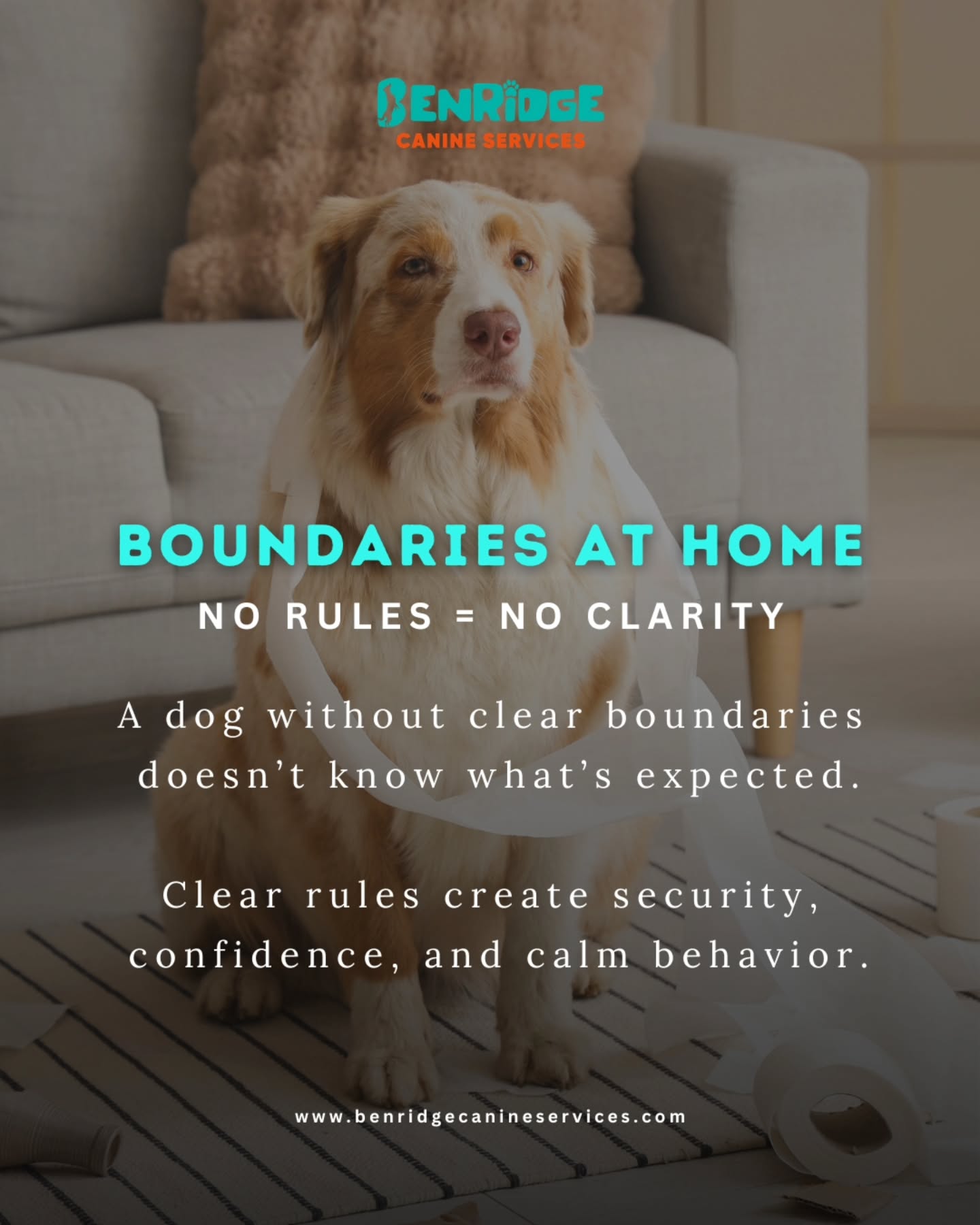 Boundaries at Home Matter 🐾
No rules = no clarity.
When a dog doesn’t understand what’s expected, confusion leads to stress, anxiety, and unwanted behavior.
Clear, consistent boundaries create security, confidence, and calm behavior both at home and in everyday life.
Structure isn’t about being strict.
It’s about helping your dog feel safe and balanced.
📩 DM us today to learn how to build better structure at home.
📍 24 Pillar Rock Crescent, Markham, ON L6C 3H4, Canada
📞 (647) 425-4838 / (647) 807-8761
🌐 www.benridgecanineservices.com
#DogTraining #BenridgeCanineServices #DogBehavior #ProfessionalDogTraining #DogTrainingMarkham