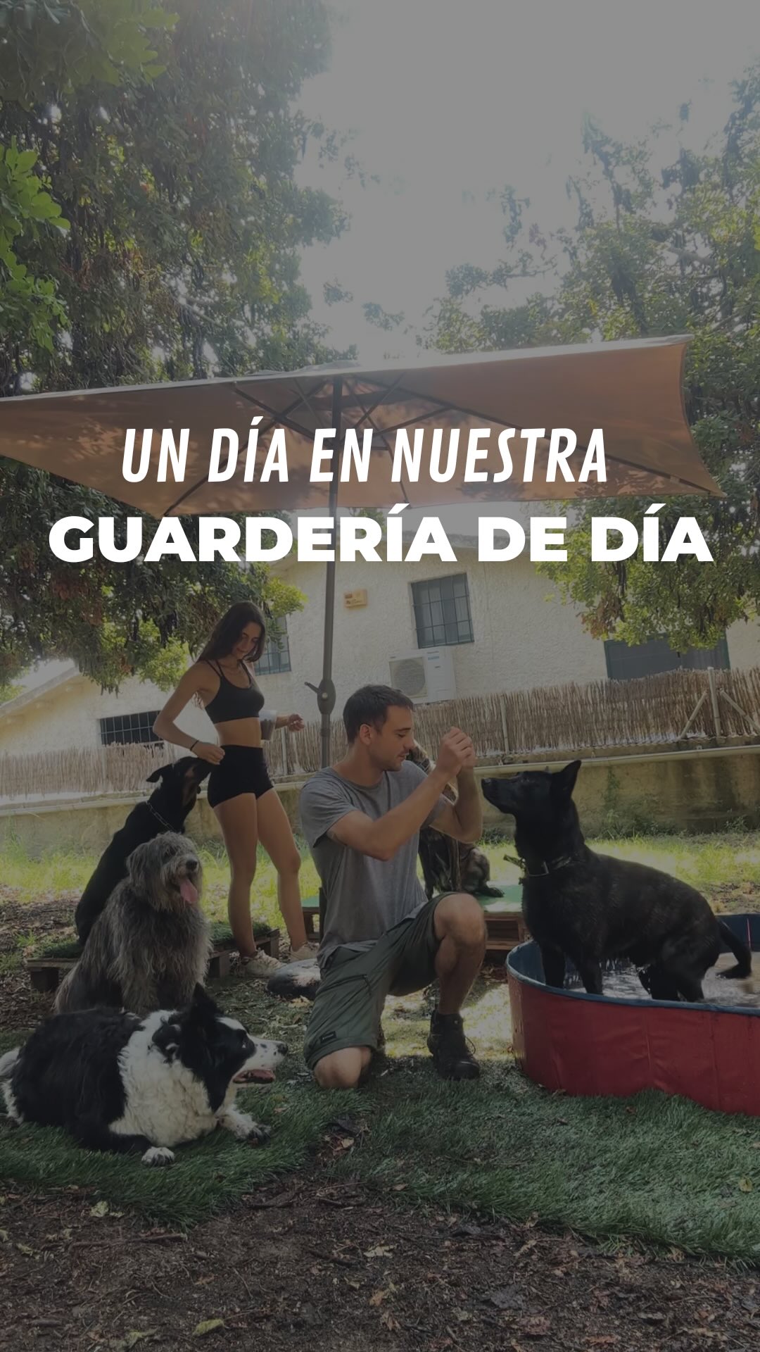 Así es un día en nuestra guardería canina 🐶
Juegos, descanso, mimos y socialización para que tu perro disfrute mientras tú estás tranquilo.
💛 Aquí, cada peludo recibe la atención y el cuidado que necesita.
📩 Escríbenos y reserva tu plaza hoy mismo.
#guarderiacanina #dogtraining #perrosfelices #maresme #educacioncanina #socializacioncanina #educadorescaninos #guarderiadeperros