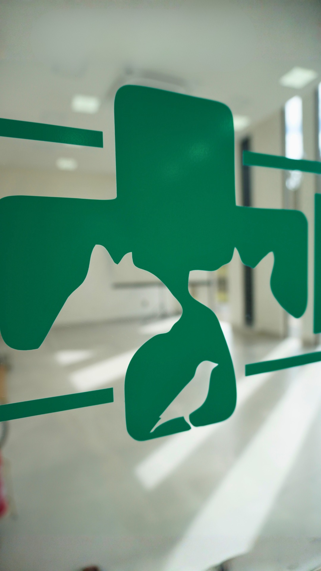 Na rotina clínica, alguns casos exigem uma estrutura hospitalar completa.
O Hospital Veterinário Alto Tietê nasce com o propósito de atuar como hospital de apoio para médicos veterinários e clínicas da região, oferecendo estrutura moderna, equipe multidisciplinar e atendimento 24h para casos encaminhados.
Nosso compromisso é trabalhar em parceria com o colega veterinário, garantindo suporte técnico, comunicação transparente e cuidado responsável com cada paciente.
HVAT – estrutura hospitalar e parceria para a medicina veterinária.
Mais informações 11 94117.0339
#hvat #medicinaveterinaria #hospitalveterinario #veterinarios #parceriaveterinaria