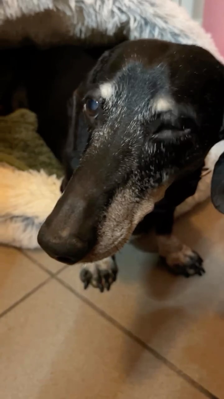 Friday vibes in Atelier🪩🤪🐾
#processvideo #jewellerymaker #makingprogress #behindthescenes #engraving