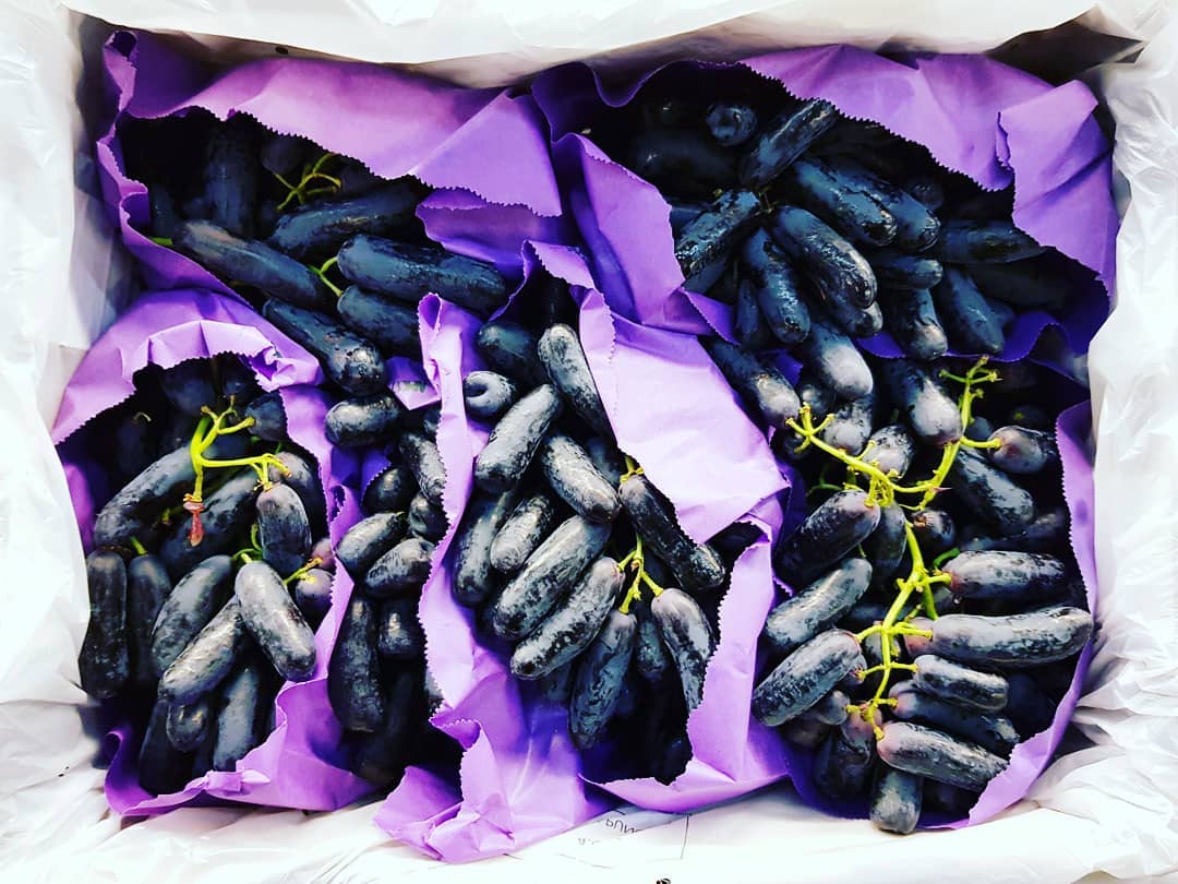 #grapes #uzüm #uva #uvas #weintrauben #southafrica #sweetsaphiregrapes #sweet #tasty #fresh #hamburg #wholesale #vitamin #fruitwholesale #fruit #frisch #fruitporn #foodie #food