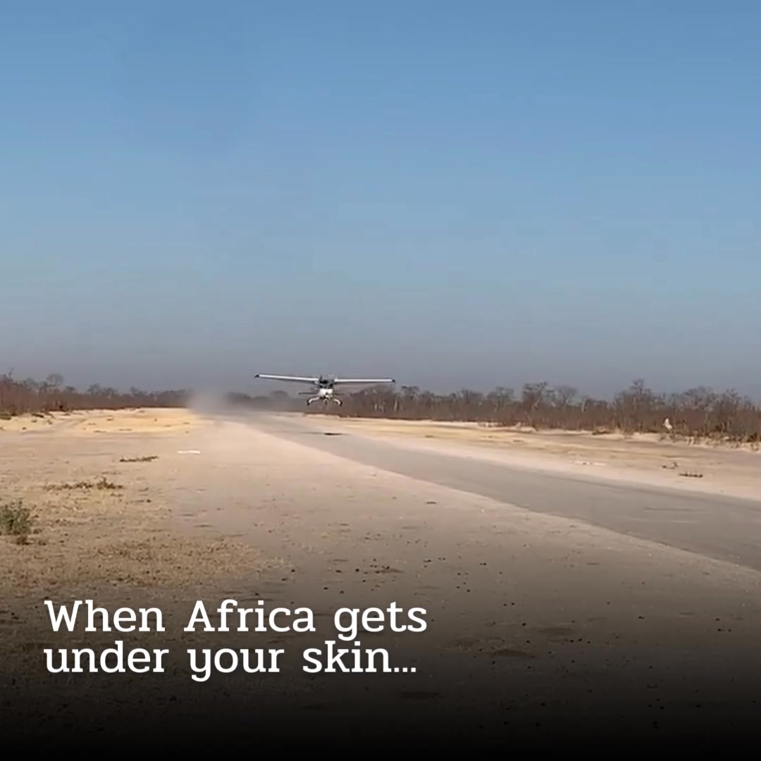 If Africa gets ‘under your skin’ (in the good way!), it’s usually for two reasons: the animals… and the land itself. With Africa Sky Runners flying safaris, you get to see both from the best seat in the house — low and close enough to feel real, not like a postcard.
You fly in a small aircraft, land where your Africa journey actually starts, and step into places that still feel properly wild. That mix of wings, bush, vast Africa skies, and wildlife tends to stay with you long after you’re home.
👉 https://bit.ly/flysafaris
Live your dream. Fly the wild.
📞💬+27 (0)83 760 1330 📨info@africaskyrunners.com
#AfricaSkyRunners #FlyingSafaris #Wildlife #AfricaBush #AfricaSafaris
