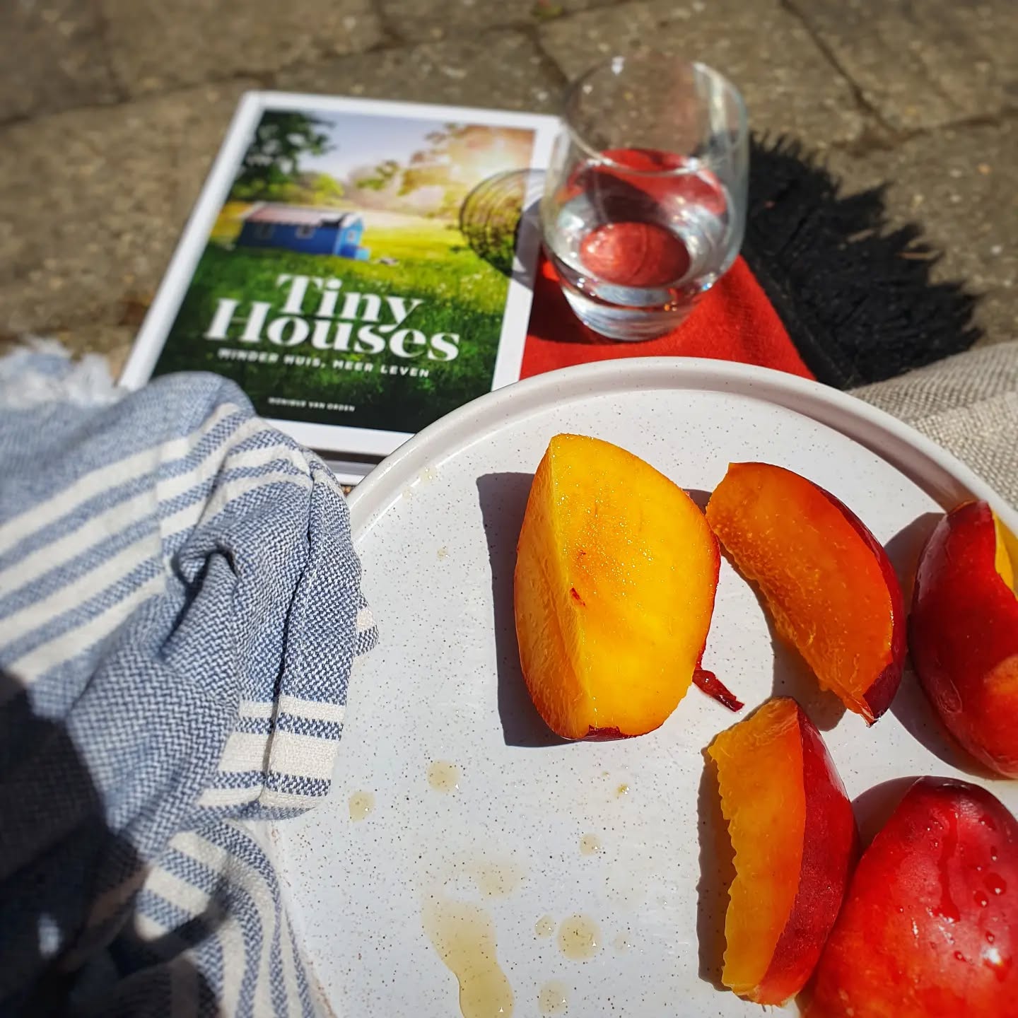 Zomer op een bord. 💛🧡💛
Nectarines = life 🤤