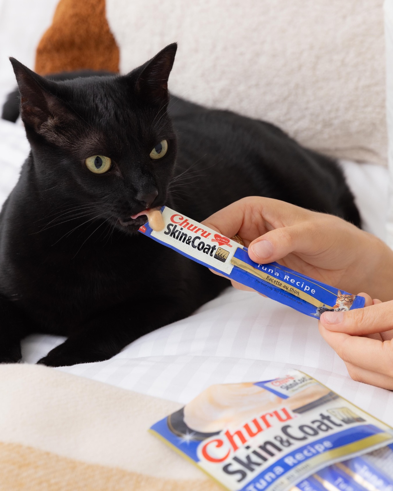 Treat time that does more đť
Churu Skin & Coat is made with high-quality ingredients you can trust, including wild-caught tuna, and packed with Omega-3 fatty acids to help support healthy skin and a shiny coat.
Creamy, low-cal and super hydrating, these irresistible purĂŠes are perfect for:
âď¸ Hand-feeding & bonding
âď¸ Fussy eaters
âď¸ Sneaky medicine time
âď¸ Adding variety to everyday meals
No grains. No preservatives. No artificial colours.
Just squeeze, treat, and watch them come running đž
Leave a đą if your cat has tried these!
#Churu #ChuruSkinAndCoat #Woolworths