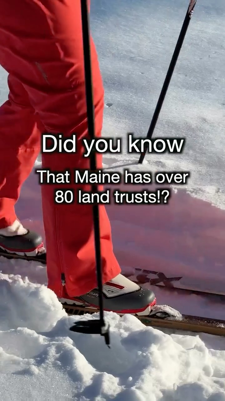 What exactly is a land trust? 🌲
We are so glad you asked!
• A land trust isn’t the same as a city park. It’s a nonprofit conservation organization focused on permanent land protection.
• Land trusts work with willing landowners to legally conserve land, protecting it from development forever!
• The focus isn’t playgrounds or sports fields, it’s safeguarding forests, farmland, wildlife habitat, clean water, and open space for future generations.
• These lands are carefully stewarded according to conservation standards, often with restrictions that ensure they can’t be sold off or built on later.
• It’s long-term protection rooted in community, keeping Maine’s landscapes wild, working, and thriving
Next time you are enjoying an ACT trail, you can take a deep breath, knowing the land is protected for good! 💚
#mainelandtrust #conservation #arundelmaine