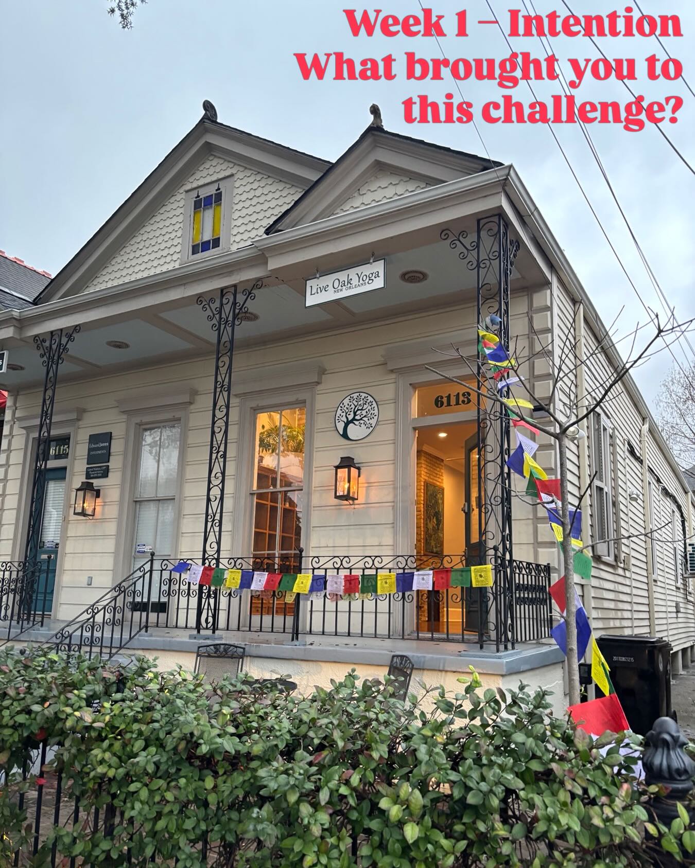 Week 1: Intention (Days 1–7)
Theme: Beginning with clarity
Journal Prompt:
Why am I choosing to commit to my practice right now?
What do I hope consistency will give me—not fix, but offer? #40daysofyoga #lentyogachallenge #liveoakyoganola #nolayogacommunity #nolayoga y