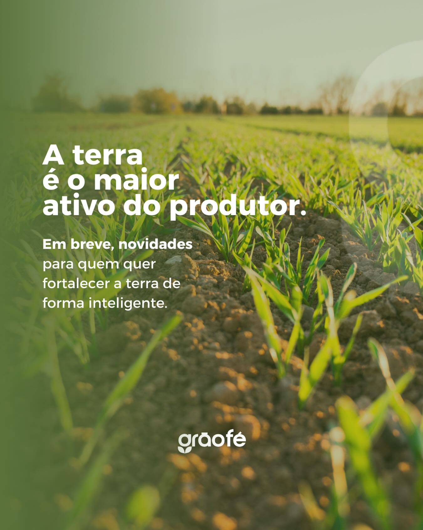 A terra é o maior ativo do produtor e cuidar do solo é tão estratégico quanto produzir.
A GrãoFé acredita que produtividade e responsabilidade caminham juntas.
Em breve, novidades para quem quer fortalecer a terra de forma inteligente.