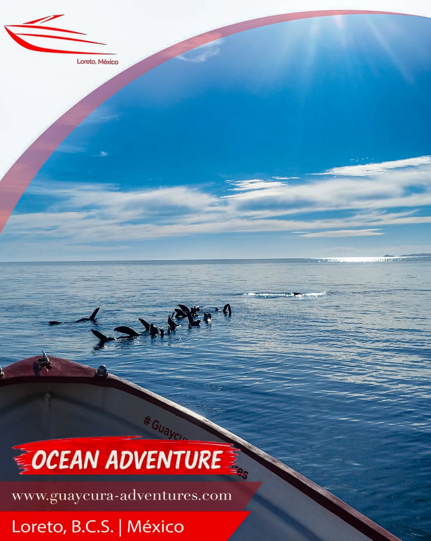 🌊✨ Descubre la magia de Loreto, BCS
Imagina navegar entre islas de ensueño, lanzar tu caña en uno de los mejores destinos de pesca deportiva y vivir la emoción incomparable del avistamiento de ballenas 🐋
💙 Sumérgete en aguas cristalinas
🏝️ Explora paisajes que parecen sacados de una postal
🎣 Siente la aventura en cada momento
Loreto no es solo un destino… es una experiencia que se vive con todos los sentidos.
📲 Reserva hoy mismo: 613 124 4158
🎟️ Obtén 10% de descuento con el código 4MTR4
🌐 https://www.guaycura-adventures.com
#LoretoBCS #LoretoMexico #BajaCaliforniaSur #WhaleWatching #AvistamientoDeBallenas