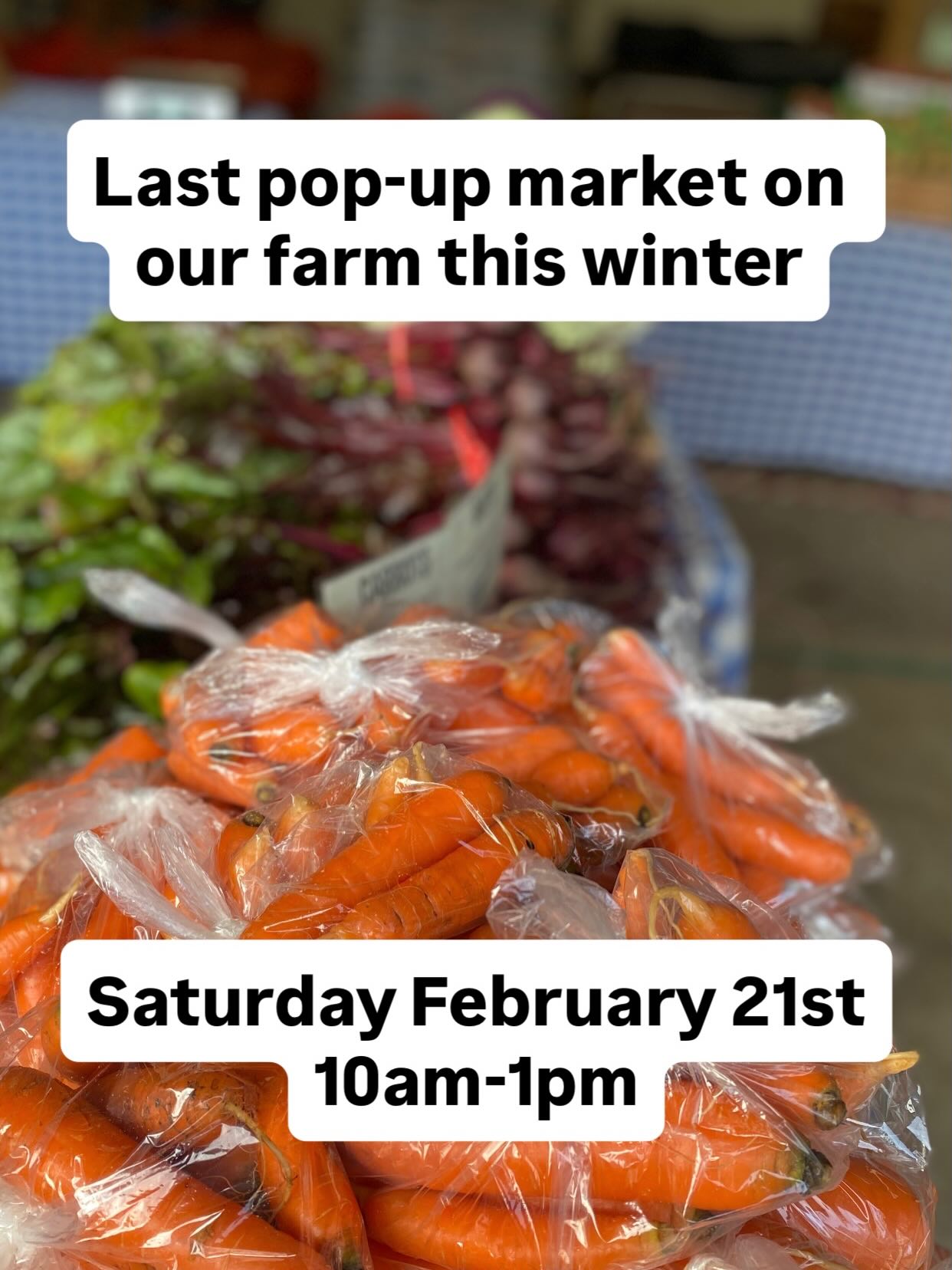 See you tomorrow! Roads are clear and weather looks ok. I’ll post a weather update in the morning!