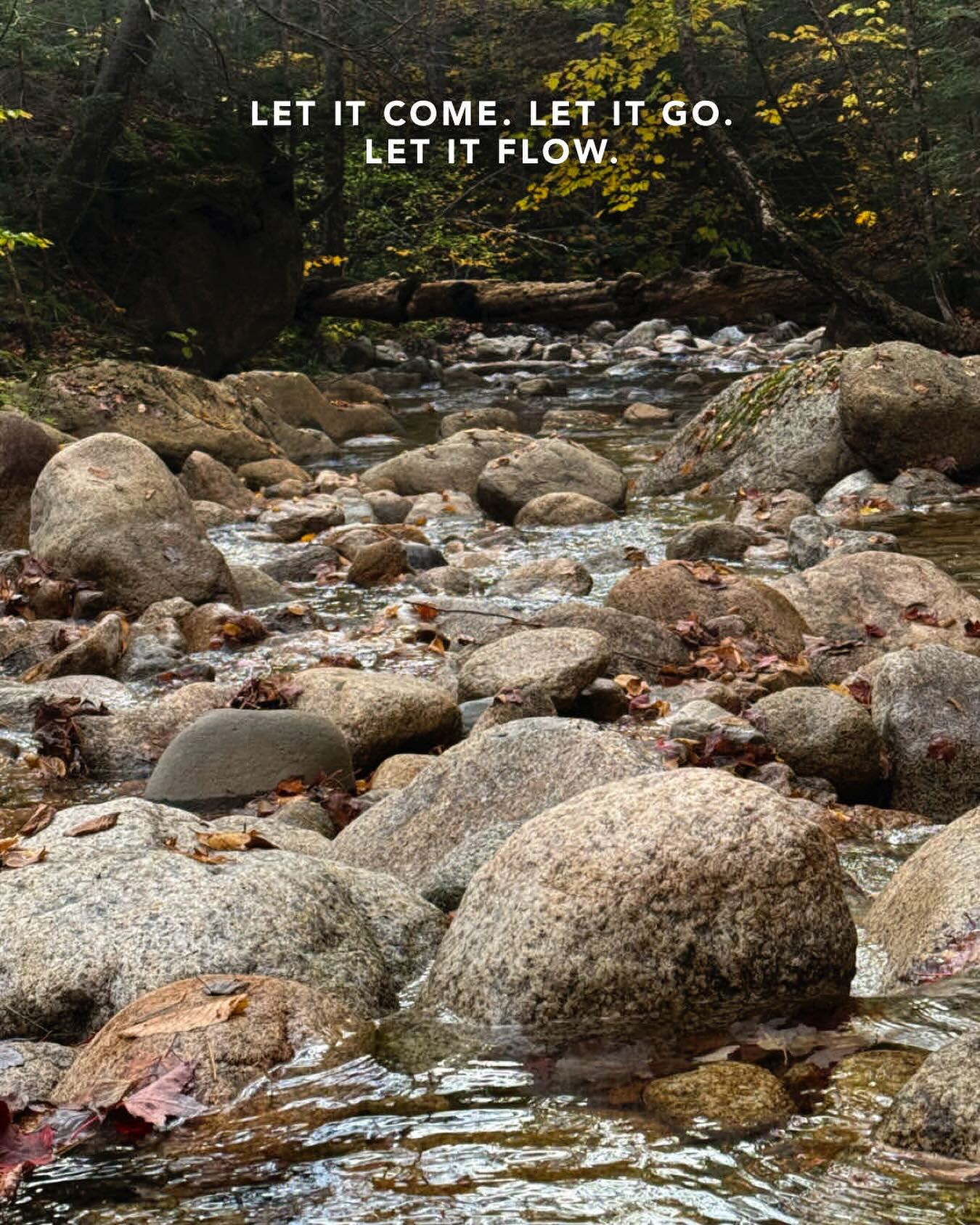 Resistance is the source of all stress and disease! So mindfully review the source of your tension/resistance and let that stuff go!!