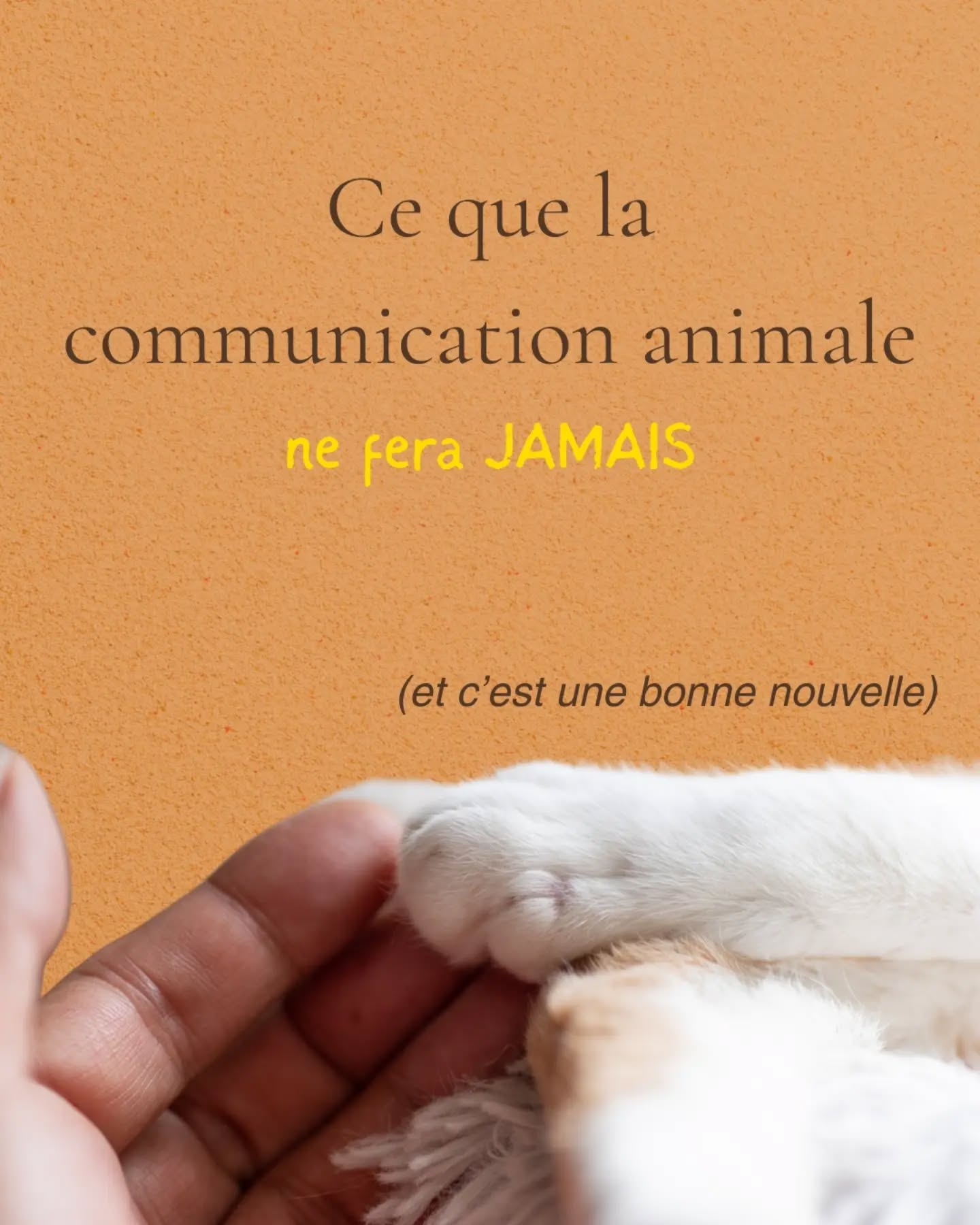 On attribue parfois beaucoup de pouvoir à la communication animale ( trop, peut-être)
Elle ne remplace pas un vétérinaire, elle n’efface pas un comportement en une séance, elle ne supprime pas les émotions et elle ne remplace pas la relation quotidienne.
Et c’est rassurant.
Parce que cela signifie que chacun.e garde sa place.
La communication animale n’est ni une solution miracle, ni un raccourci. C’est un espace d’écoute qui permet de comprendre autrement.
Mais comprendre ne veut pas dire contrôler. Écouter ne veut pas dire forcer. Et accompagner ne veut pas dire remplacer.
Si tu as besoin d’y voir plus clair sur ce qu’elle peut, ou ne peut pas, apporter, tu peux m’écrire.