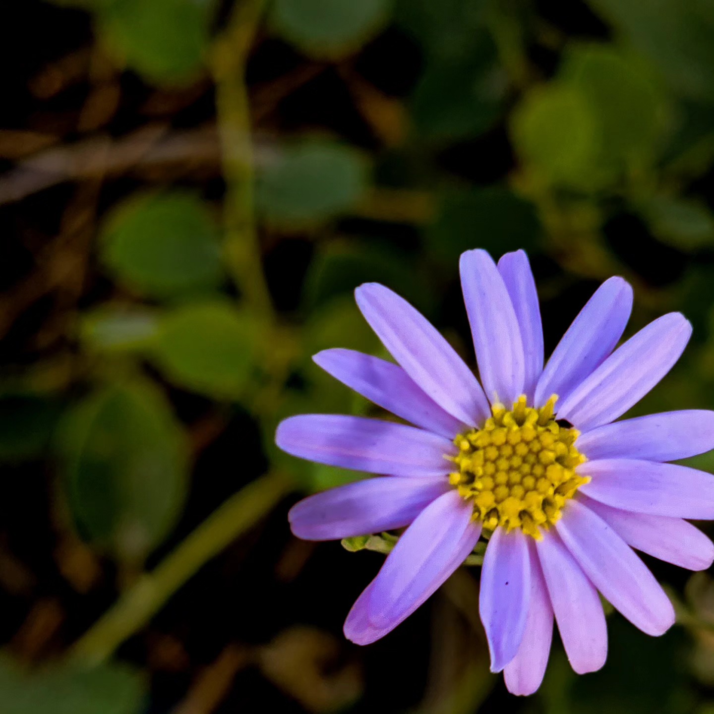 #adynaolive #documentalphotography #centralasia #daybyday #myheartinpictures❤️