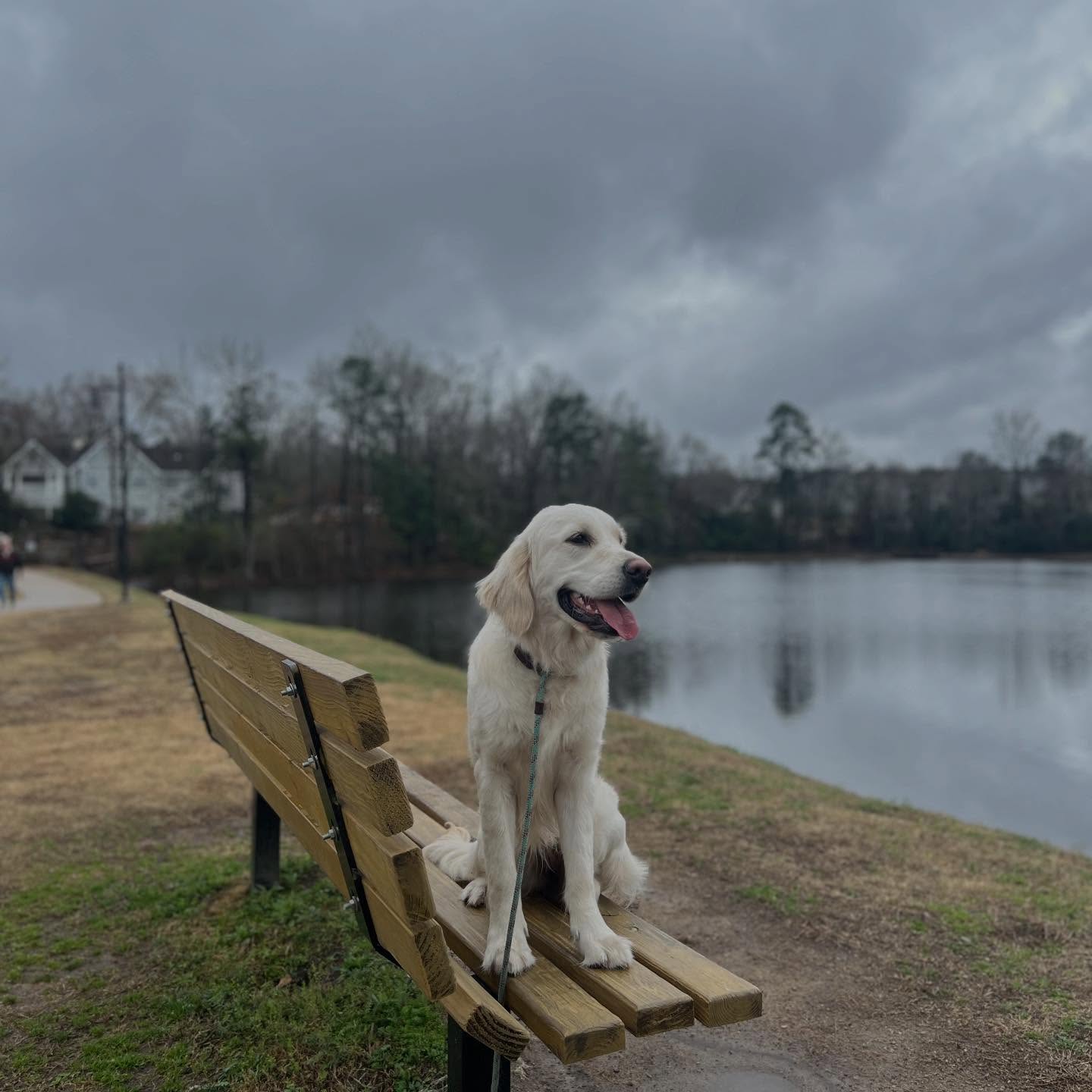 Maizy and I enjoying a workout at the mill pond trail! 🎓🙌🐶
