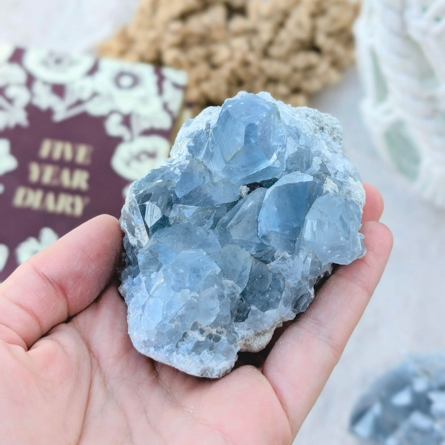 Quando o que fazemos nasce do coração tudo é diferente ✨ também acreditas? ♥️
Hoje trazemos-te a celestite que te trás paz ao coração, através da energia celestial, liga a intuição e o divino aquilo que vibra dentro de nós. É um cristal que nos conforta, que nos diz está tudo bem, que ao mesmo tempo nos orienta no nosso caminho e missão. É muito fácil de sentir. Pode ser colocado no quarto e usado em crianças porque a sua energia é extremamente suave, delicada e muito útil em guiar-nos e confortar-nos. Não é um cristal de proteção mas é de pureza, conforto e segurança ✨
⚠️☝🏻As drusas não precisam de limpeza e recorrente, se a celestite estiver rolada não há problema em limpar com água mas drusa não pode ser. A água vai diluir a matriz (rocha que sustenta os cristais) e a drusa irá desfazer-se.
#celestite #Crystalshop #crystalhealing #PoderDosCristais #espiritualidade