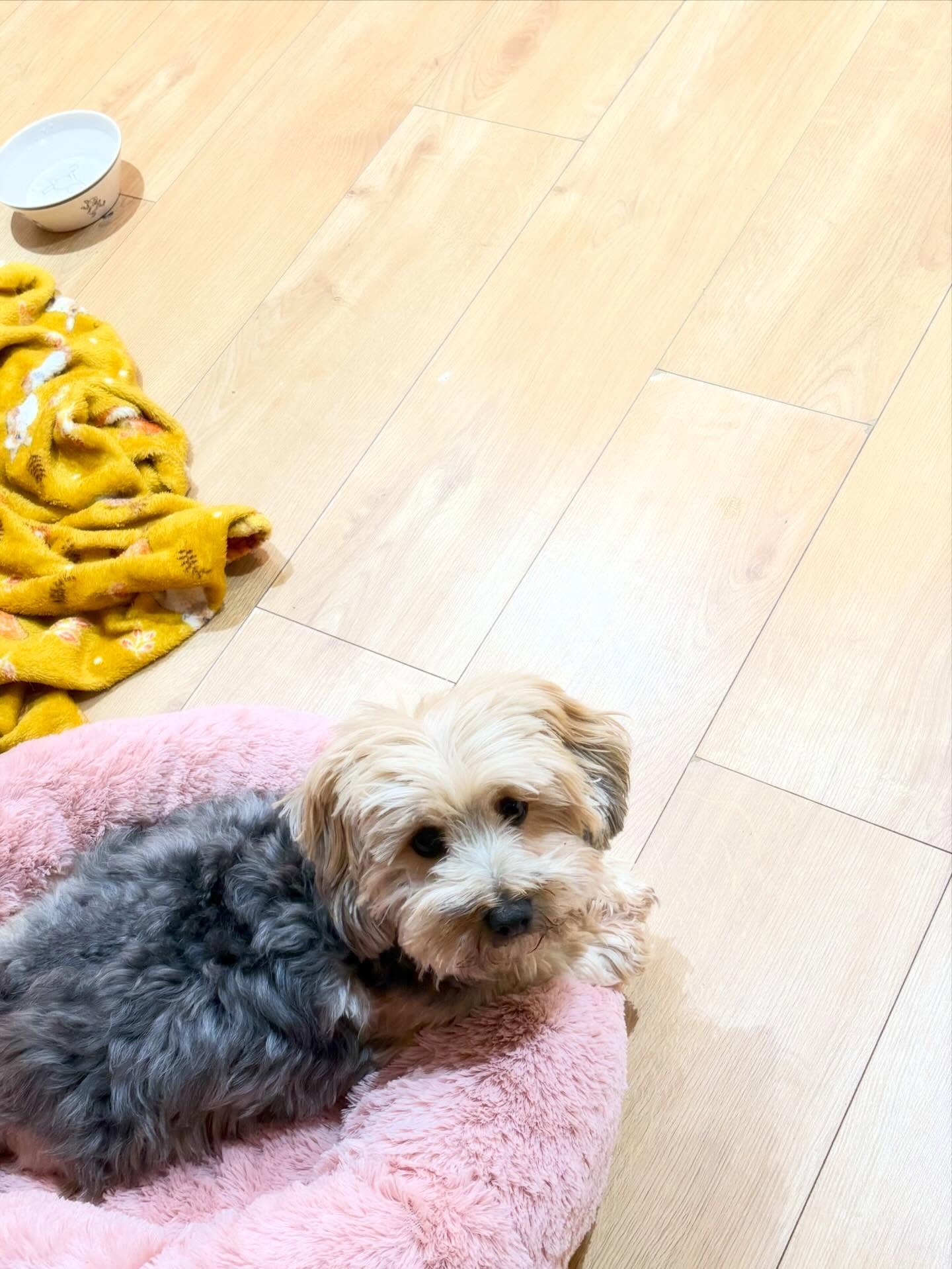 Peggy Says Relax! 💝