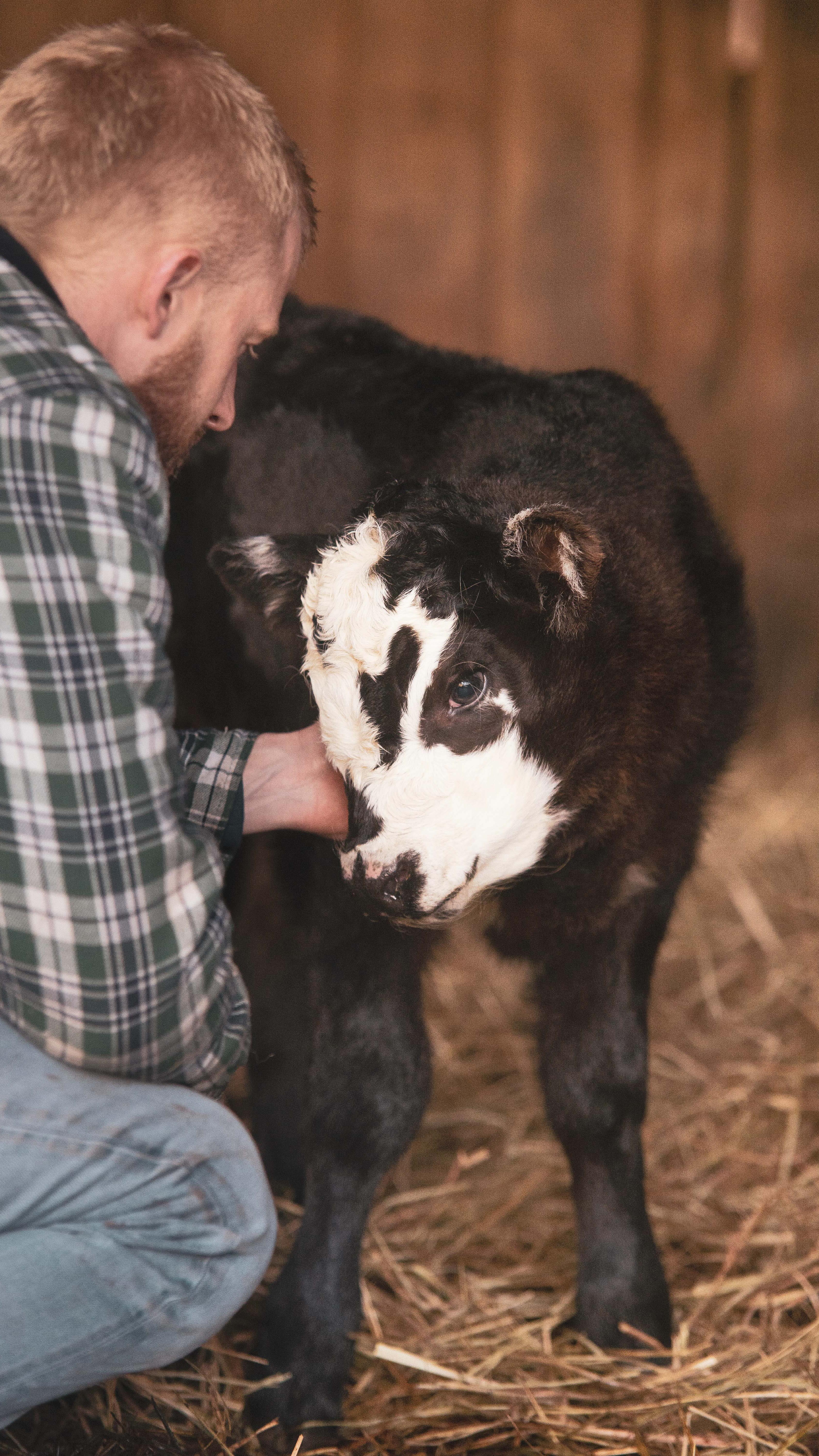 I blooming love Sundays 🖤
The first calf arrived on Saturday morning and as I was at my brothers wedding all day I didn’t get a chance to go up with my cameras so today we did. Everyone got involved as you can see and I got a good groom that I don’t know I needed 😂
Food prep is done, the house is straight, the bikes got ridden and ready for a new week!
New YouTube video uploaded and ready for 8pm 🖤 this was a fun one!
#countryside #countrysideliving #sundays