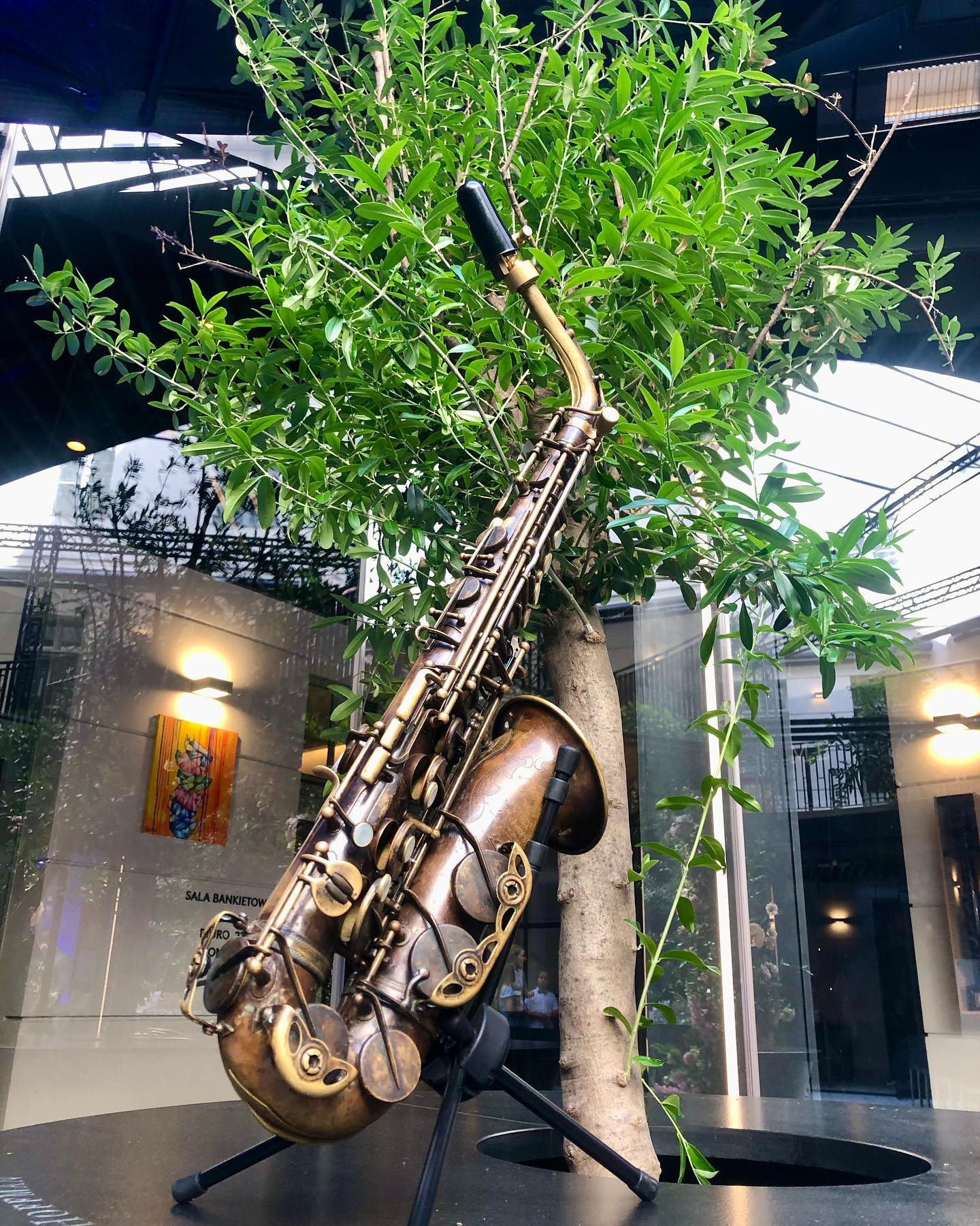 #saxophone #selmer #altosax #music @mlynska_12