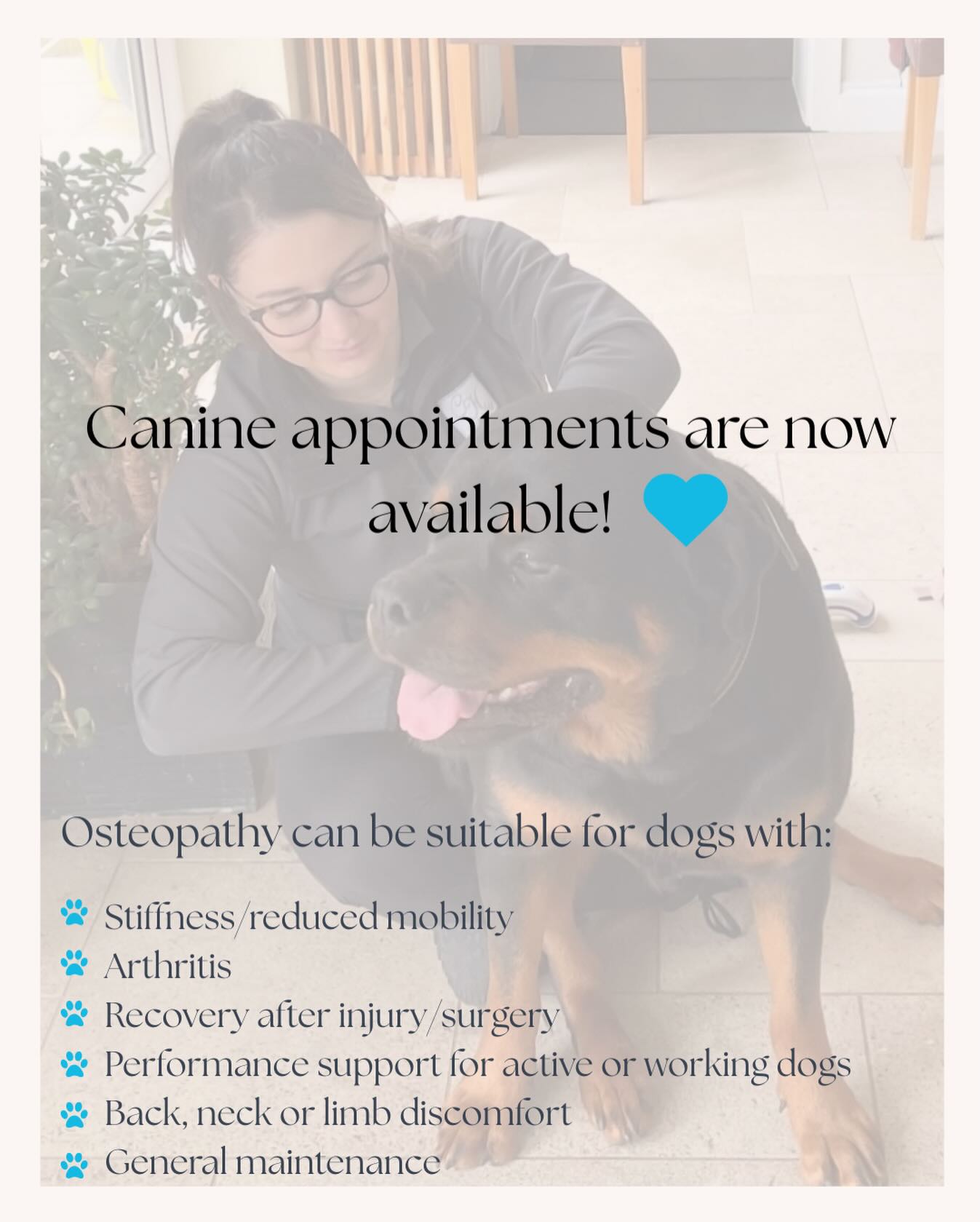 Canine clinic reopening…✨
I’m really pleased to share that I have reopened my canine osteopathy patient list. 🐶💙
Now that my little one has started nursery and I have a little more time on my hands, my animal clinic will be running again on Tuesday mornings and Friday afternoons.
Treatment is gentle, hands-on, and always tailored to your dog’s individual needs.
If you would like to book your dog in, or have any questions about suitability, please get in touch. 🐾
📞 01634 710292
🖥 info@chosteopathy.co.uk
🌐 www.chosteopathy.co.uk
#Osteopathy #MSKHealth #AnimalOsteopathy #CanineOsteopathy #CHOsteopathy