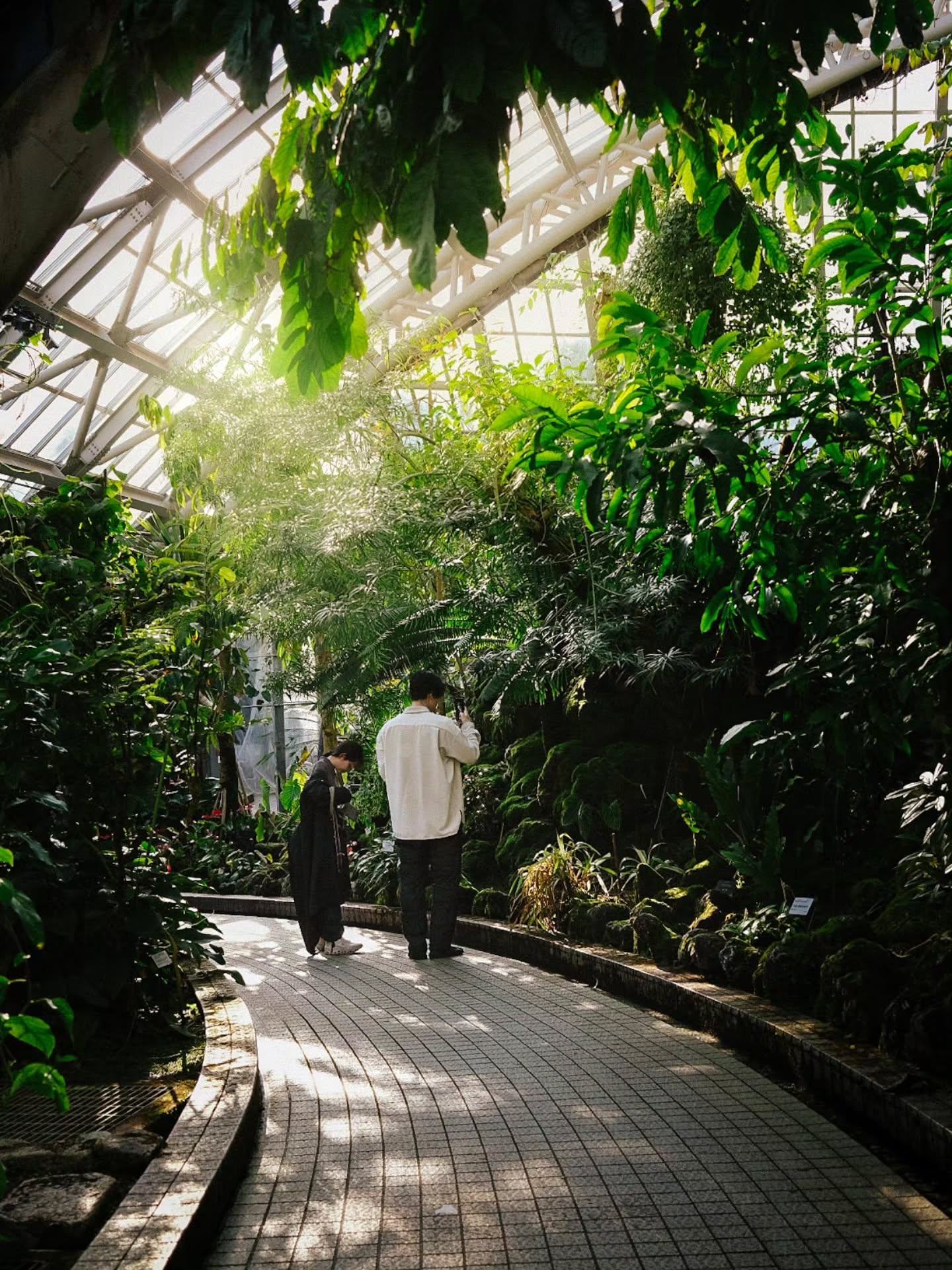 I finally got to visit the indoor garden at Kyoto Botanical garden ✨🌱🌿