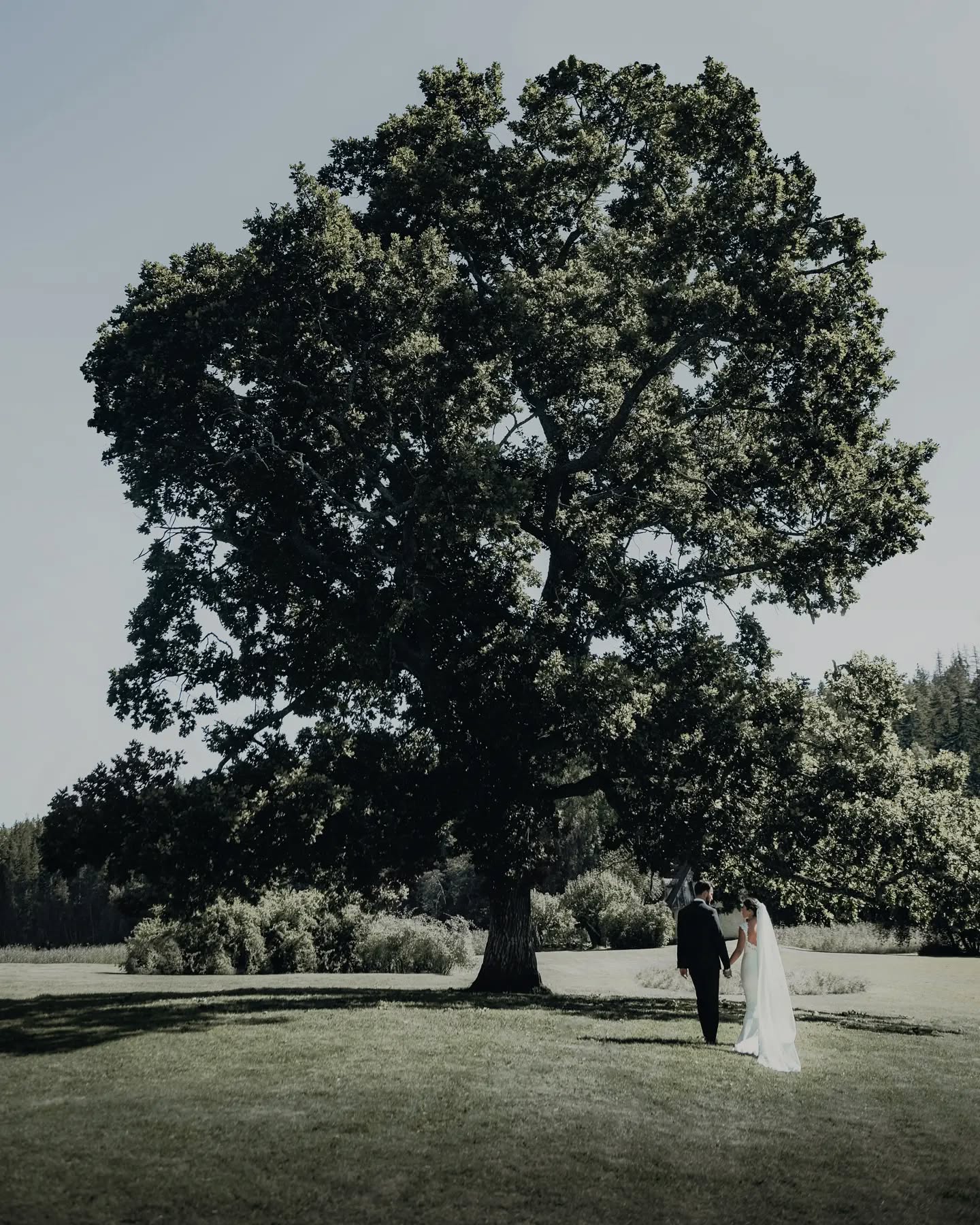 Tree of life #bröllop #bröllopsfotograf
#bröllopsfotografstockholm #brudklänning #bröllopstockholm #stockholmbrudochfest
#wedding #bride #weddingday #weddingphotography #weddingdress #flower #weddingflowers #weddinginspiration #marriage