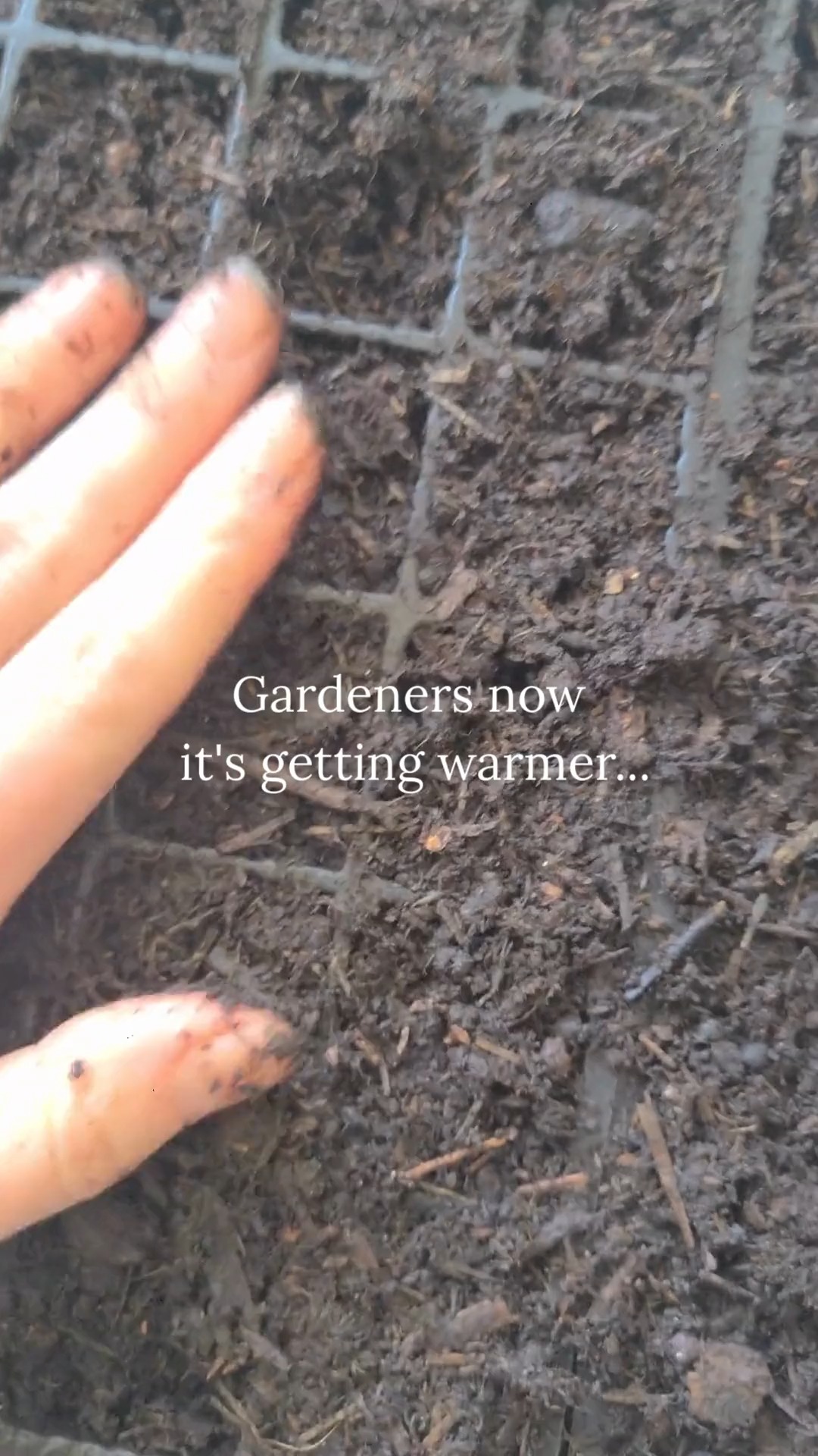 Sunshine has been out! ☀️ And it's getting warmer at last!! 😎🌱
It's finally time to sow seeds again and start enjoying more time in the garden/allotment.
It's the perfect time to start tomatoes, chillies and peppers 🌶🫑🍅
I'm excited to sow our new Tomato Marmande and Hot Lemon Chilli Peppers this year 😊
Order yours at www.ethicalorganicseeds.co.uk or follow the link in the bio.
I hope you enjoy a great day of gardening 🌱
#allotmentlove #allotmentuk #growyourown #vegetablegarden #wellness