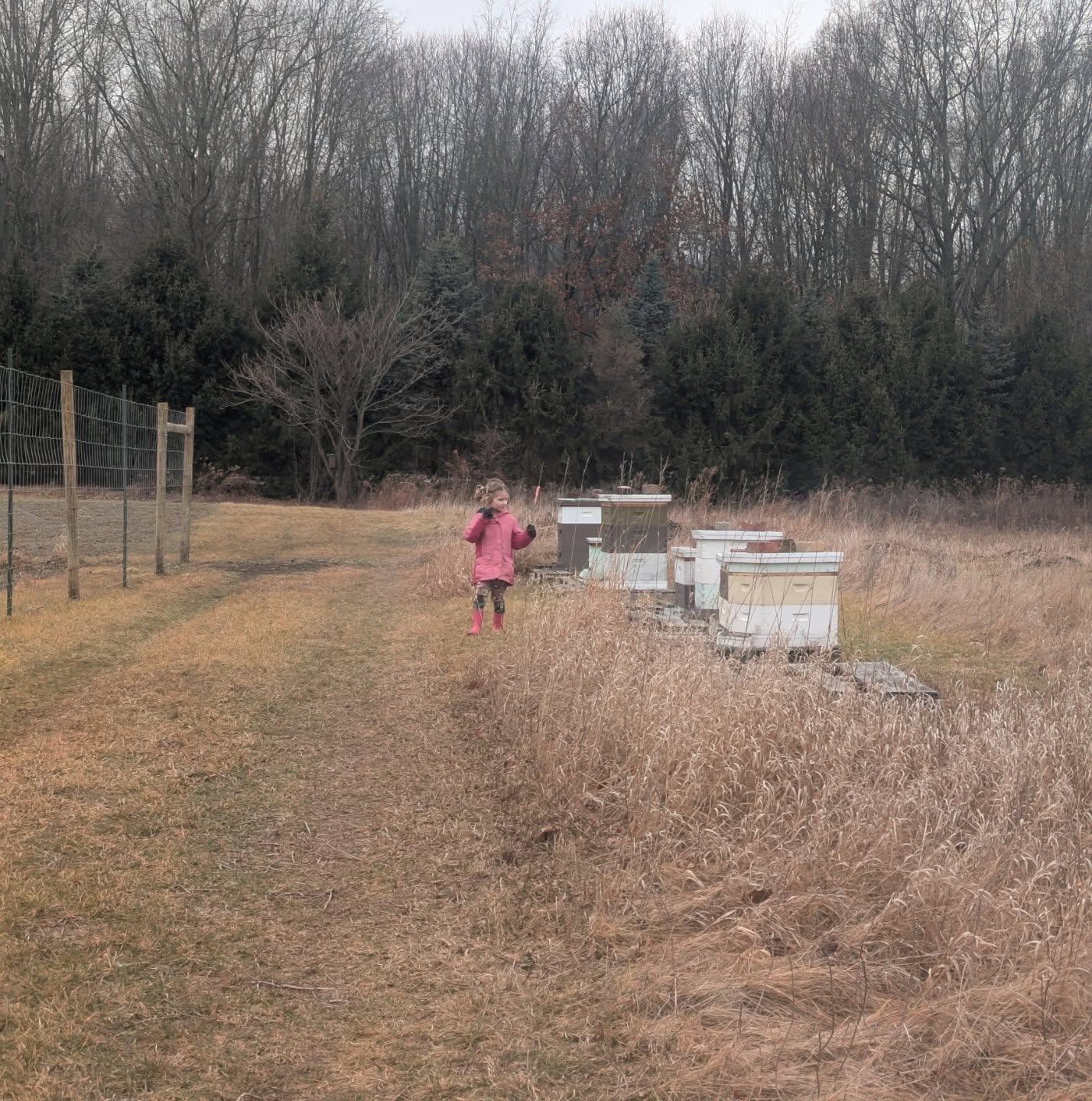 False spring 🙂💞🌱