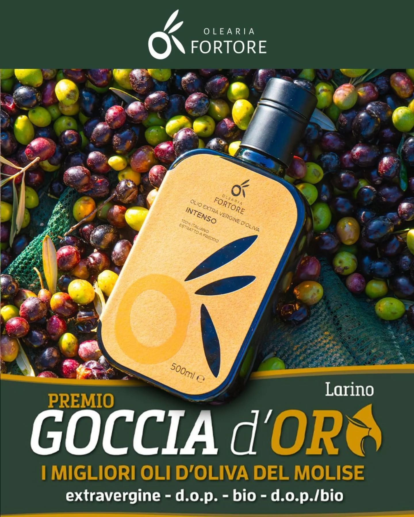 Oggi si è svolta la XXII edizione di GOCCIA D'ORO, un incontro che celebra l'eccellenza dei migliori oli d'oliva del Molise, un incontro che mette al confronto hobbisti e professionisti del mondo oleo olivicolo.
🏆il nostro olio "INTENSO" si è aggiudicato il primo posto nella Categoria Professionisti EVO 🫒
🏆 Un'altro riconoscimento importante ottenuto è il premio di " Migliore Frantoiano "
Si ringrazia chi ogni giorno ci mette il proprio impegno e passione nella valorizzazione del nostro territorio Maurizio Corbo Arsarp - Ufficio Olivicolo
#EccellenzaMolisana #olioextraverginedioliva #tradizione
www.oleariafortore.com